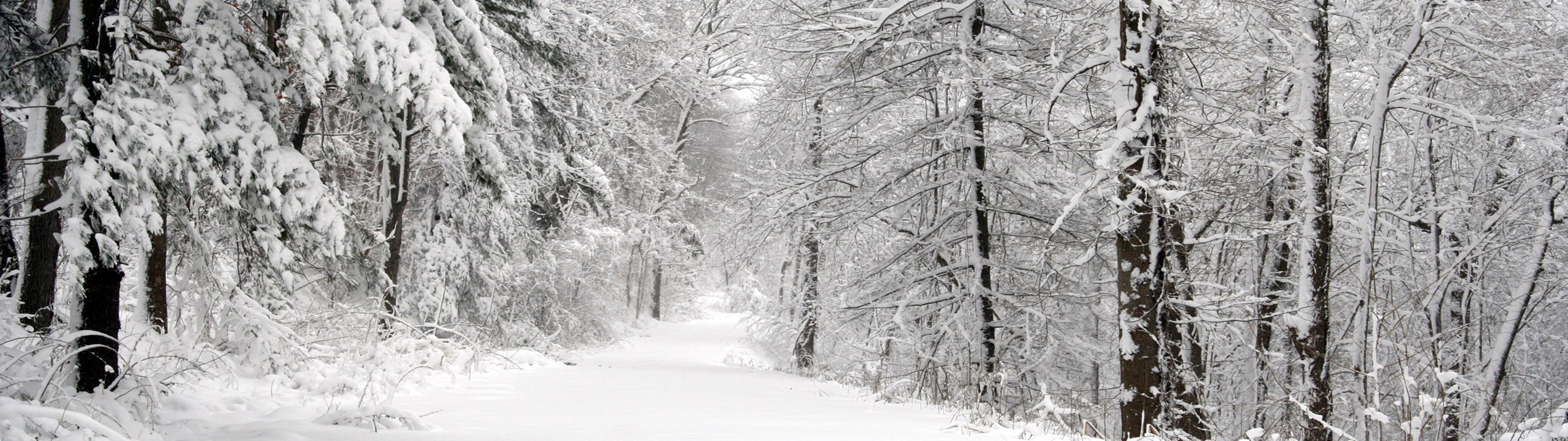 tranquil scene, forest, ice, snowing, landscape nature dual screen, land, 4K, no people, non-urban scene, cold temperature, treelined, extreme weather, HD Wallpaper