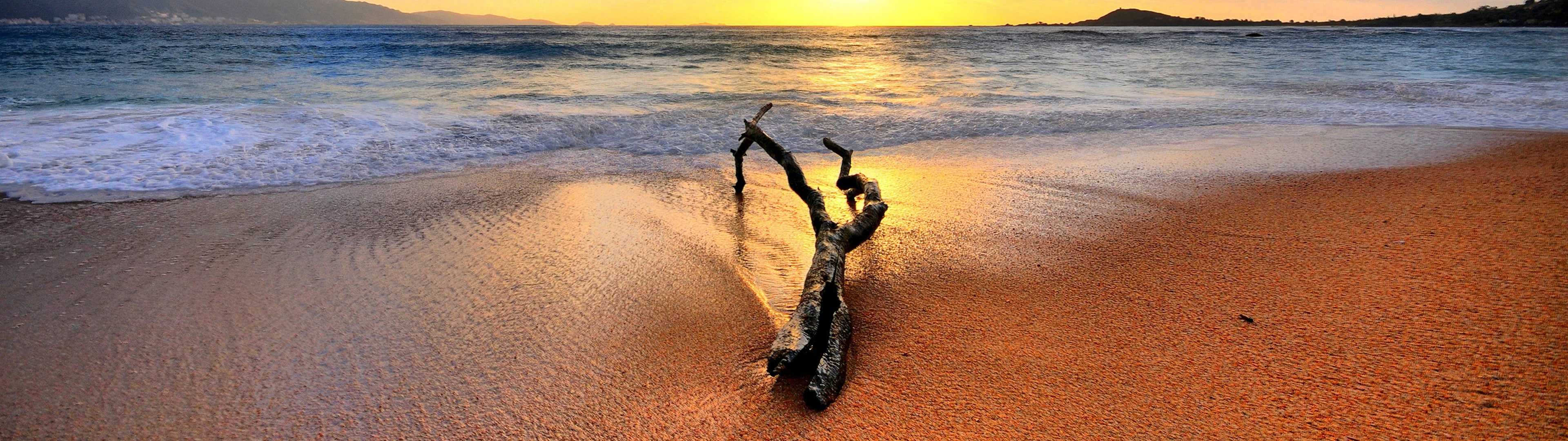 wave, day, aquatic sport, animal, land, sea, landscape, motion, sport, 4K, sunset, sand, sky, dual screen, outdoors, animal themes, one animal, water, HD Wallpaper