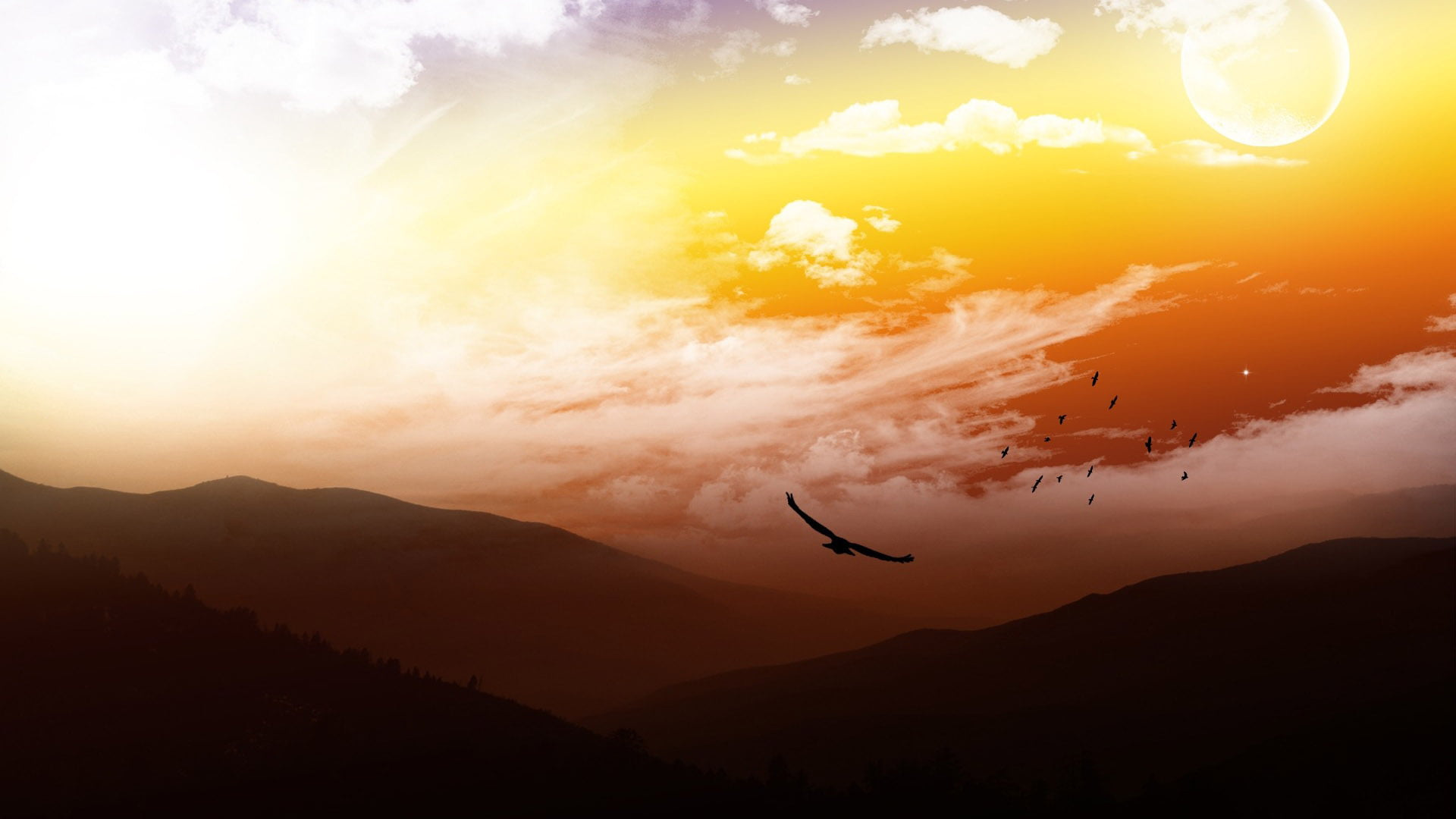 dusk, sun, sky, water, silhouette, scenery, clouds, heat, orange, sunrise, nature, horizon, outdoors, vertebrate, scenics - nature, sunny, cloudy, ocean, HD Wallpaper