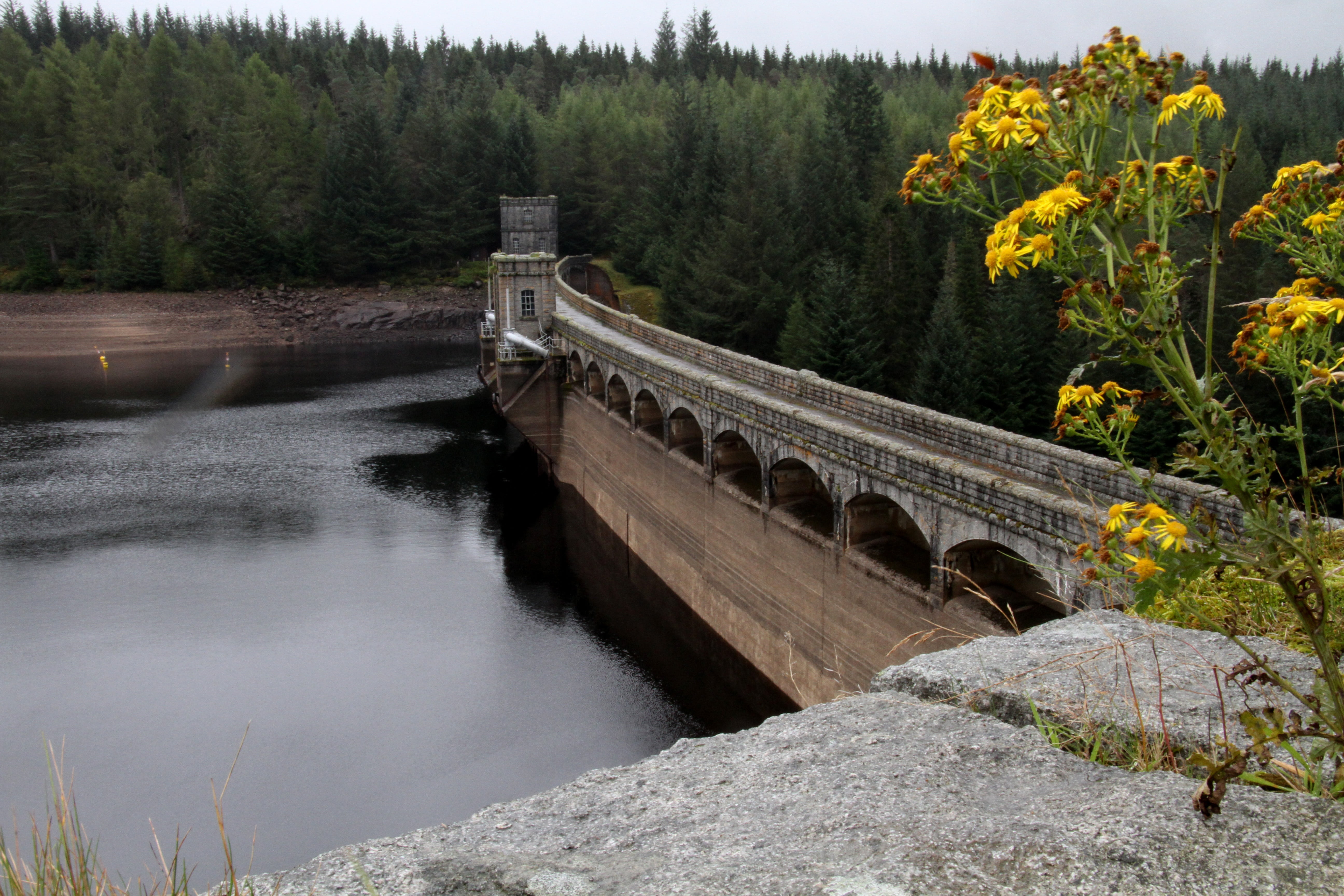 no people, bridge, plant, transportation, arch bridge, connection, tree, outdoors, beauty in nature, architecture, highlands, water, travel, river, growth, HD Wallpaper