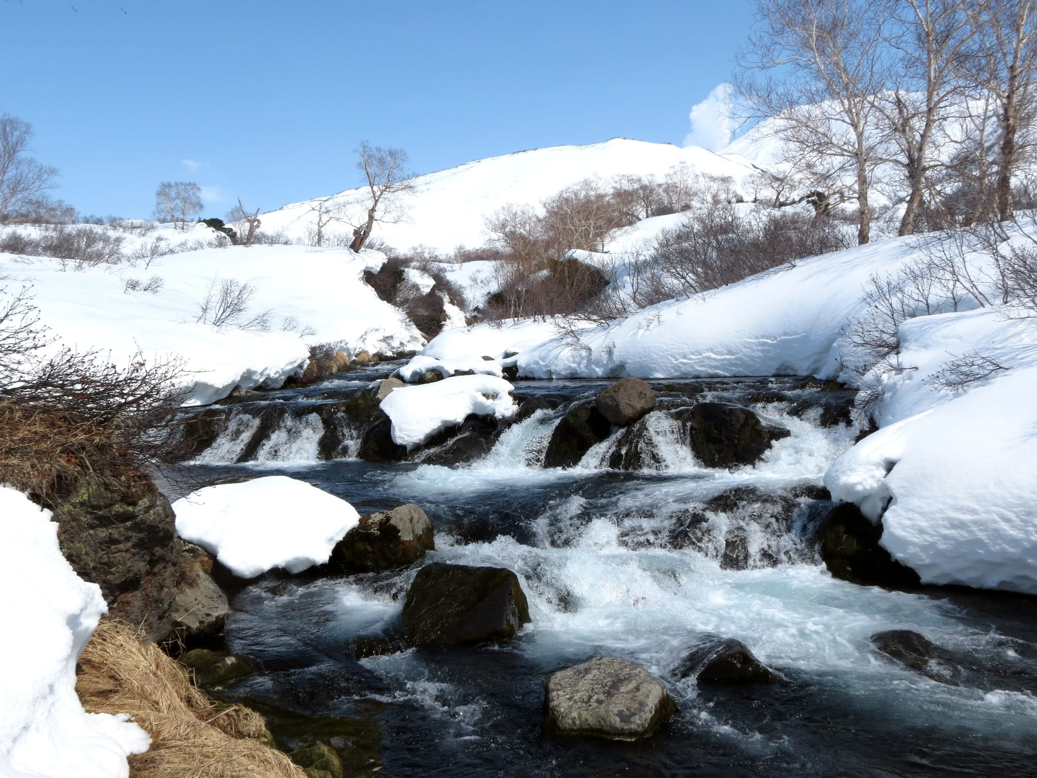 plant, journey, tree, white color, non-urban scene, no people, mountain landscape, flowing, flowing water, tourism, sky, water, tranquility, height, mountains, HD Wallpaper