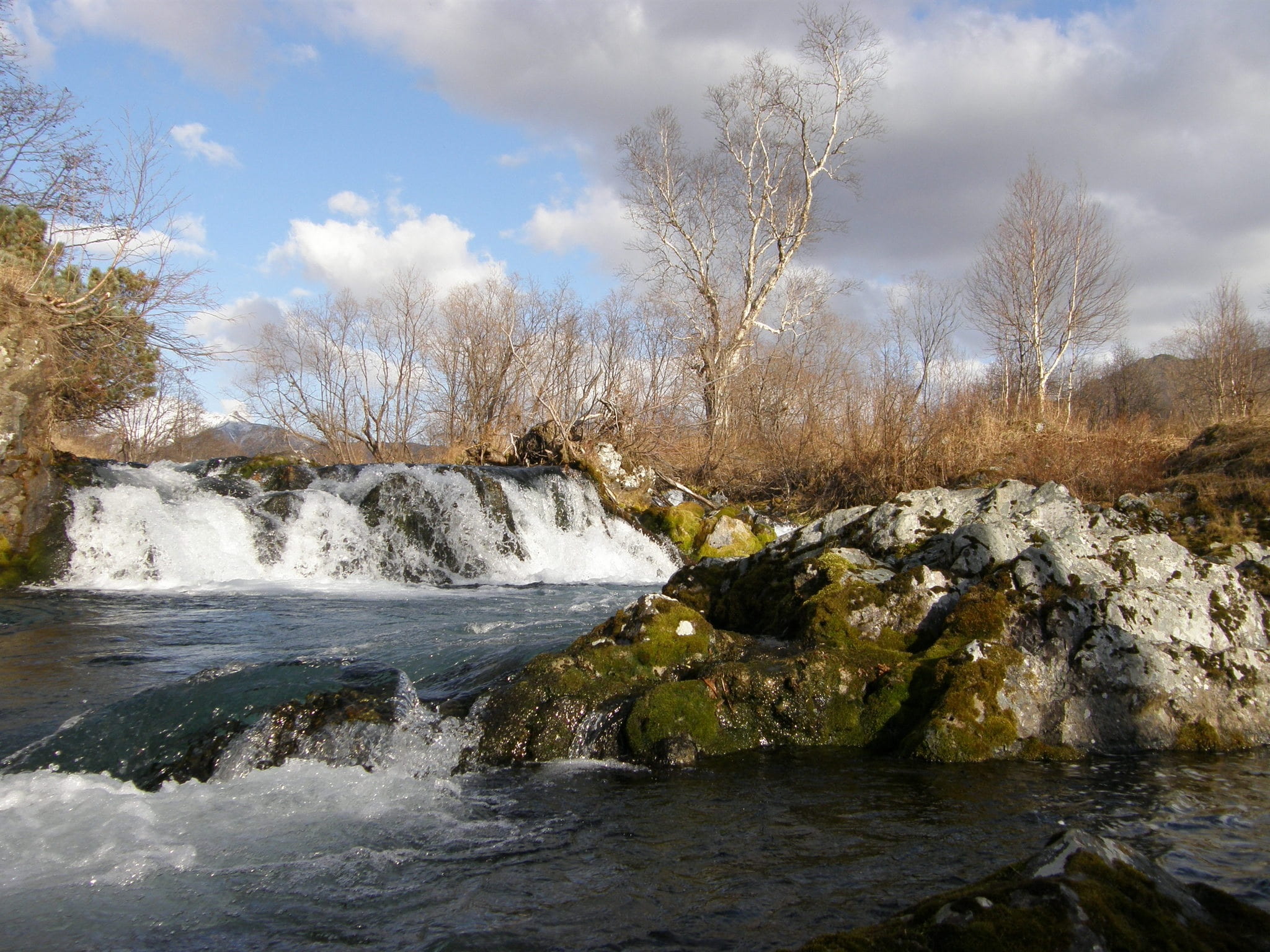 tree, stones, plant, waterfront, landscape, water, solid, cascade, journey, scenics - nature, threshold, mountain stream, cloud - sky, kamchatka, the snow, HD Wallpaper