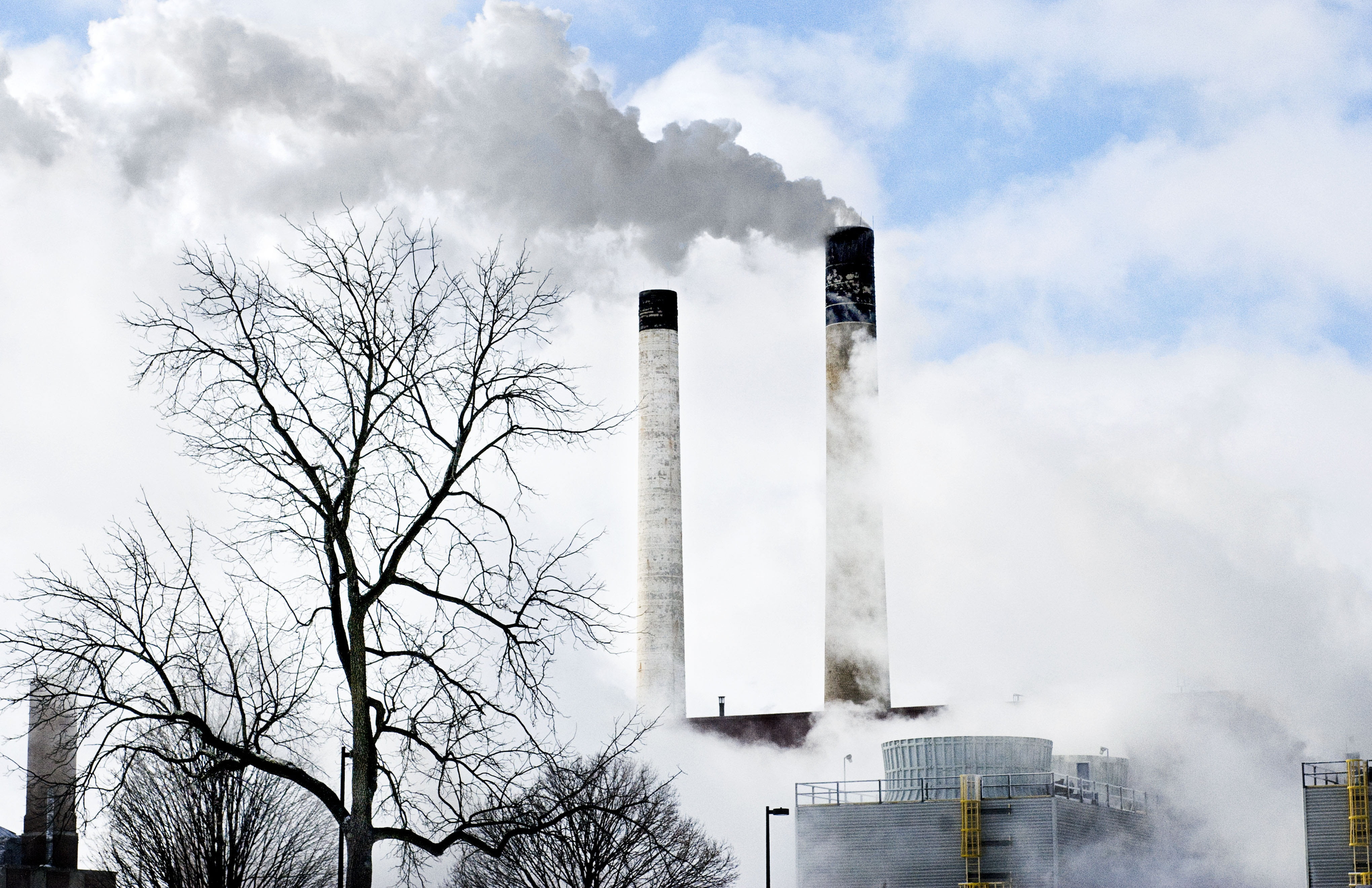 tree, plant, sky, power plant, steam, environmental damage, smoke - Physical Structure, factory, smoke stack, ecosystem, building exterior, built structure, HD Wallpaper