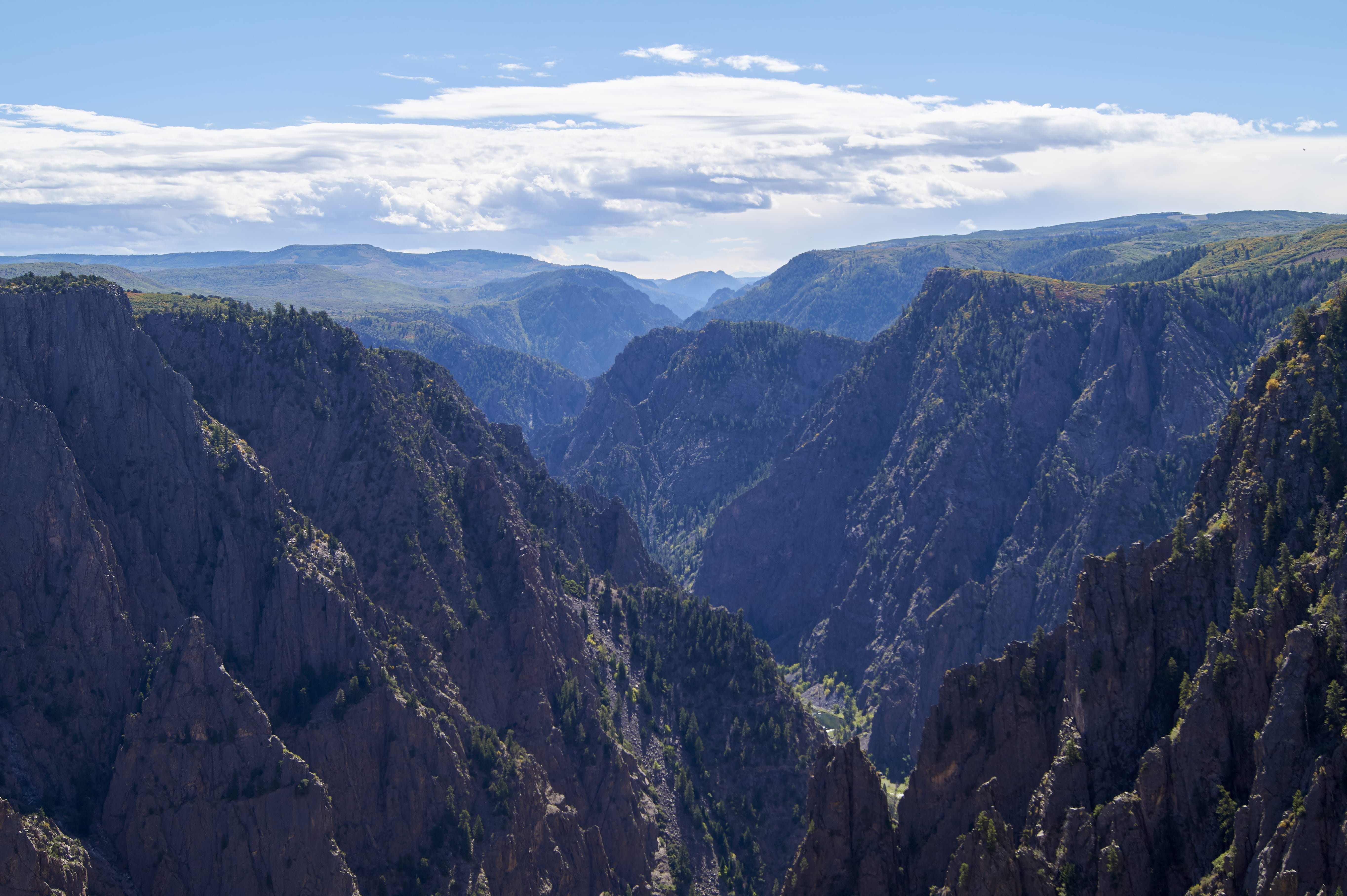 trees, non-urban scene, coniferous tree, environment, sky, tranquility, black canyon, landscape, plant, canyon, united states, tree, no people, nature, HD Wallpaper