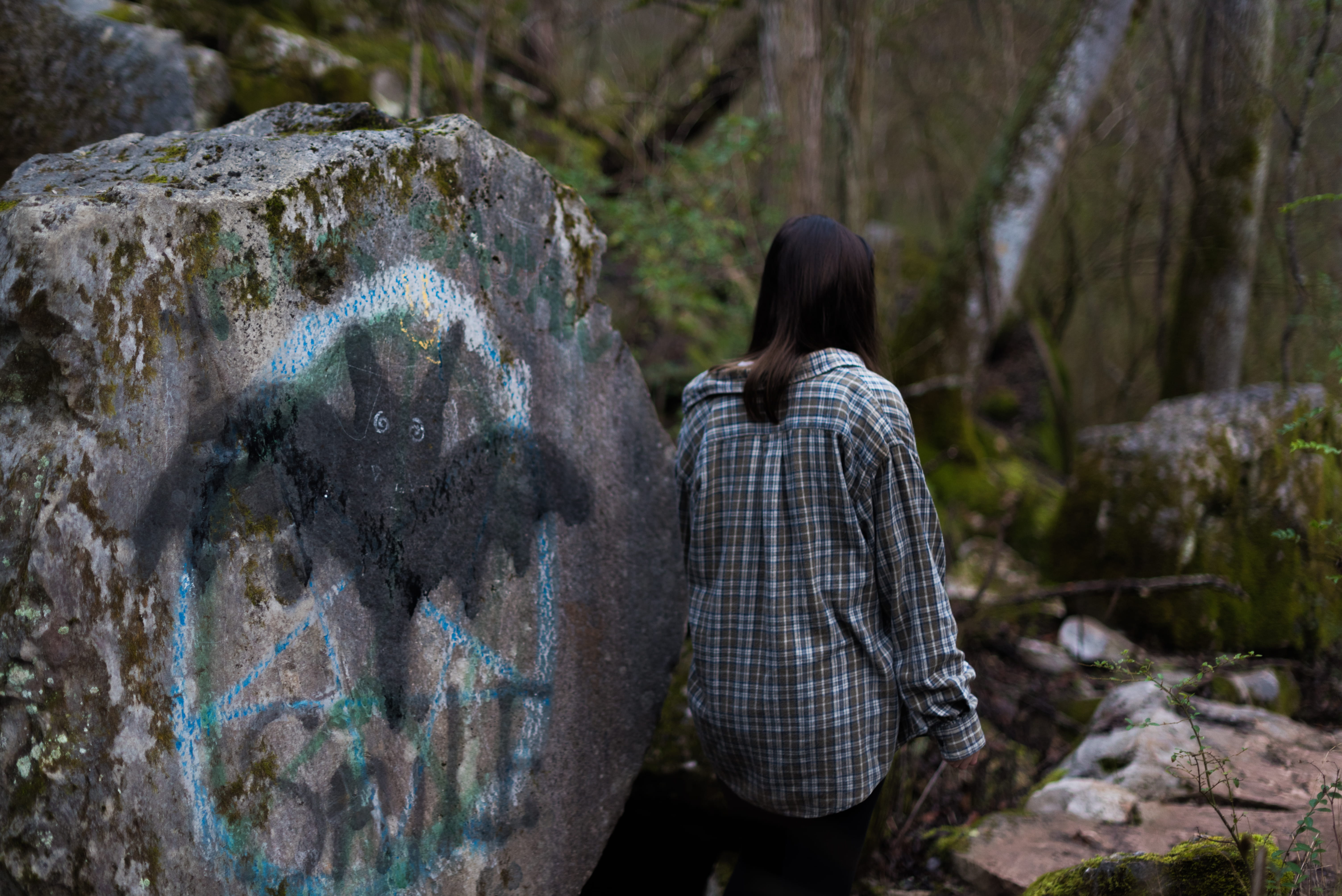 day, solid, woman, tree, united states, meads quarry lake, three quarter length, men, green, girl, outdoors, message, knoxville, nature, leisure activity, HD Wallpaper