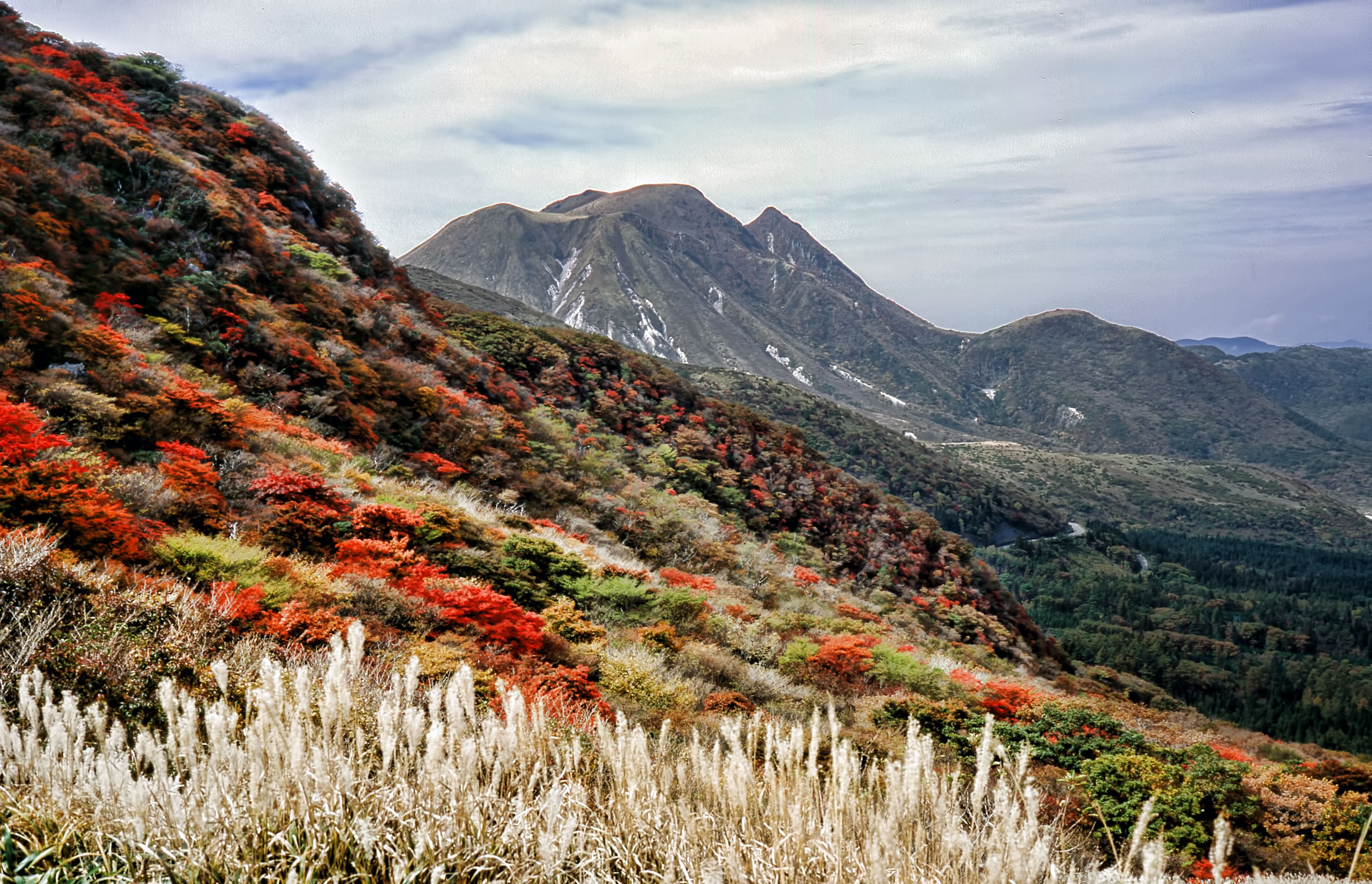 mountain, no people, landscape, aso, kumamoto, pine woodland, environment, 4K, nature, autumn, travel, sky, mountain peak, forest, autumnal leaves, day, HD Wallpaper