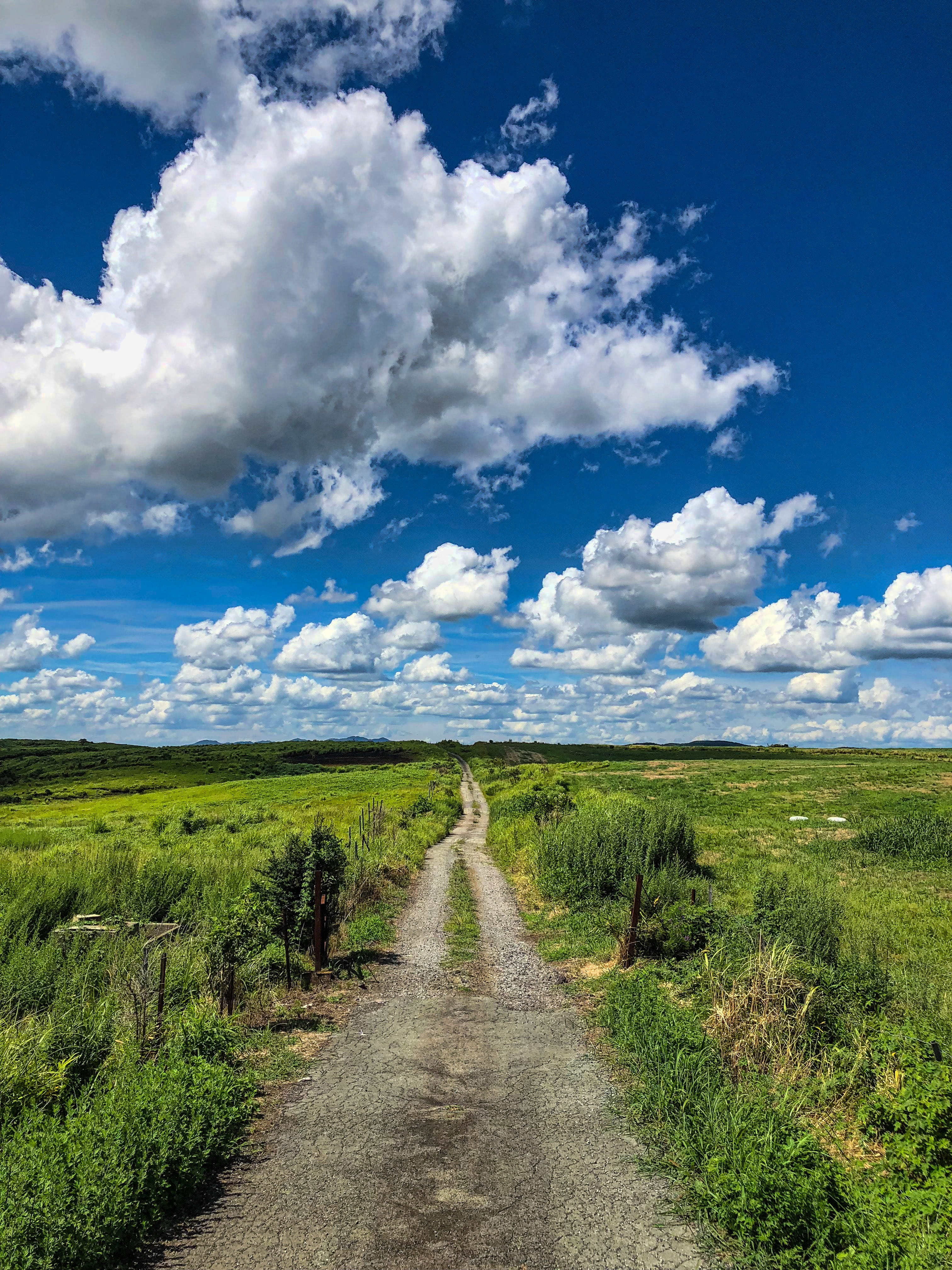 4K, scenics - nature, cloud - sky, direction, plant, beauty in nature, blue sky, field, landscape, diminishing perspective, road, nature, day, cloud, non-urban scene, Phone HD Wallpaper