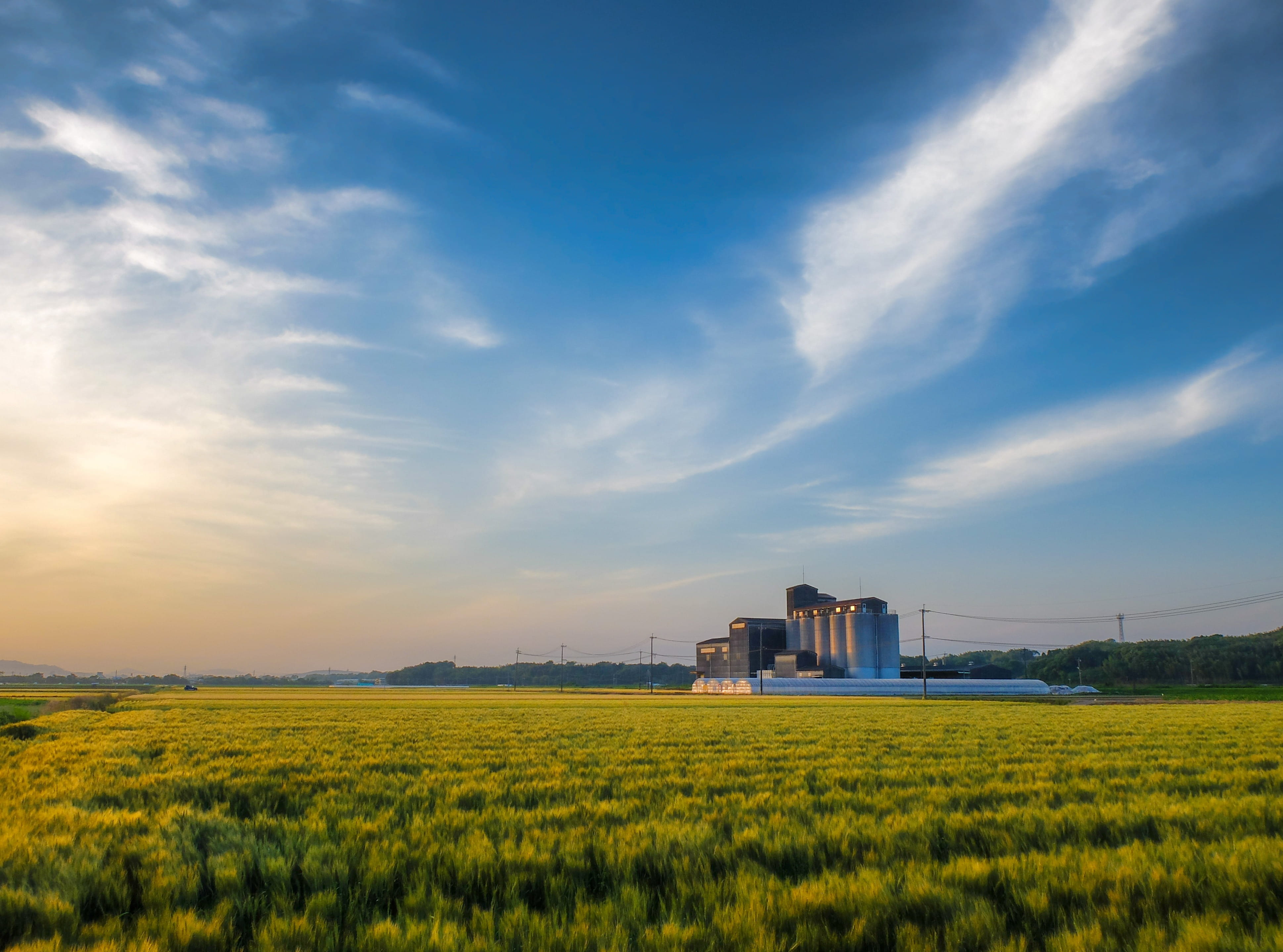 Wheat, building, environment, yellow, factory, green color, land, Cloud, nature, plant, gray, blue, agriculture, cloud - Sky, grass, sunset, summer, crop, HD Wallpaper