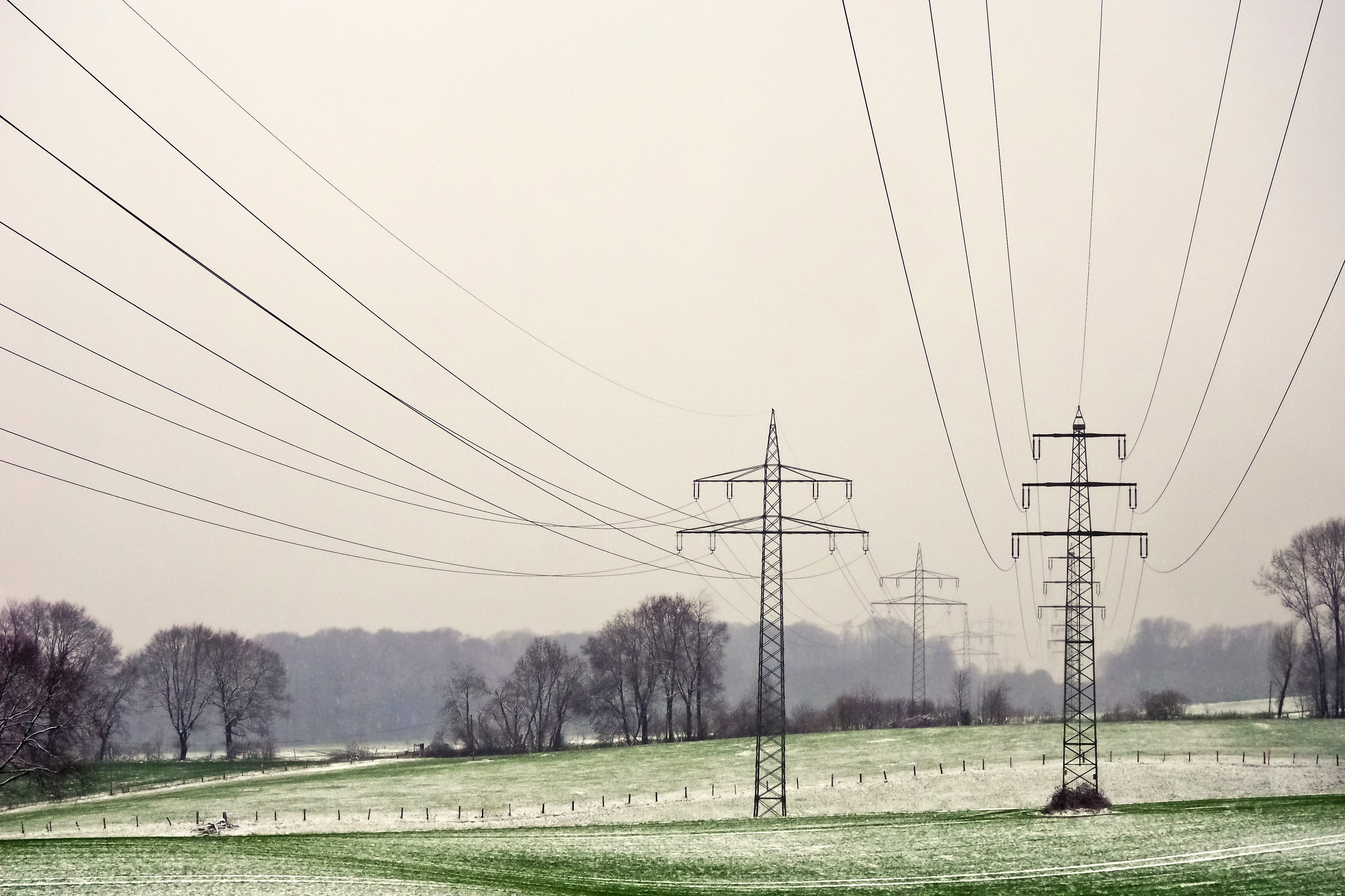cable, upper lines, environment, tree, land, no people, current conducting, line, cold, outdoors, winter, connection, sky, 4K, power line, industry, snow, HD Wallpaper
