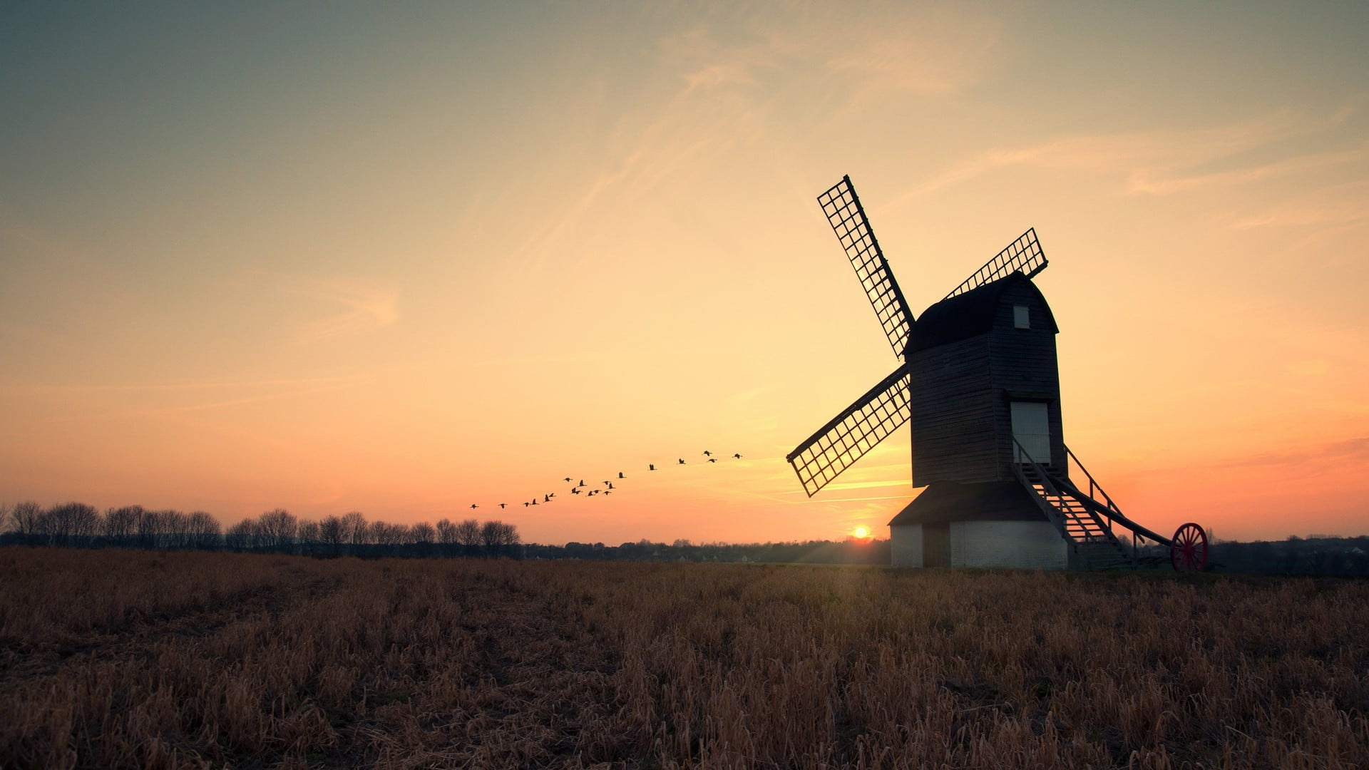 landscape, flying, sunlight, turbine, sky, windmill, environmental conservation, outdoors, environment, birds, scenics - nature, beauty in nature, fuel and power generation, HD Wallpaper