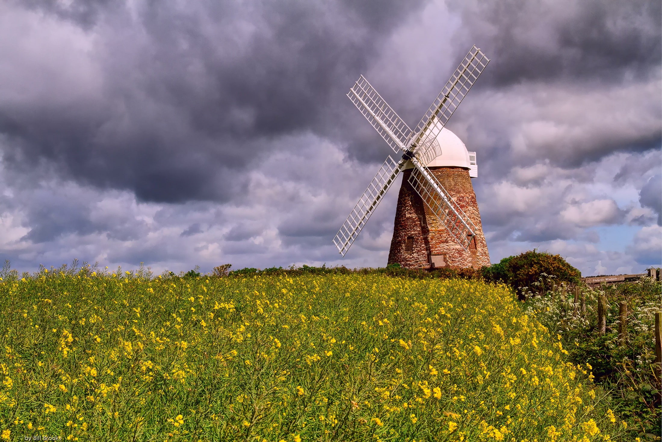 flower, wind power, environmental conservation, field, 1080P, wind turbine, no people, land, renewable energy, cloud - sky, plant, fuel and power generation, HD Wallpaper