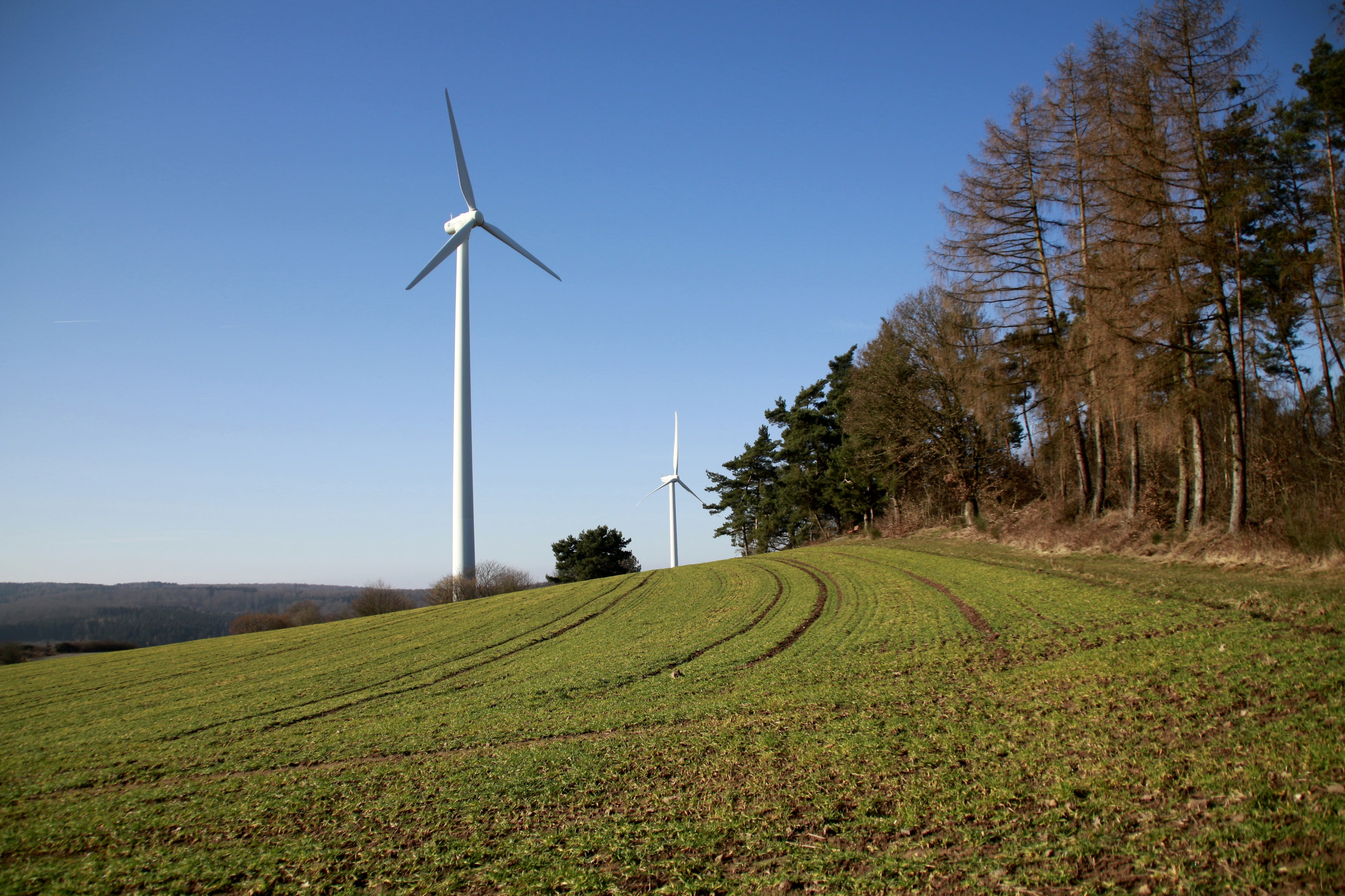 plant, wind park, ecology, renewable energy, nature, environmental conservation, forest, wind turbine, land, energy, wind power, power in nature, electricity, HD Wallpaper