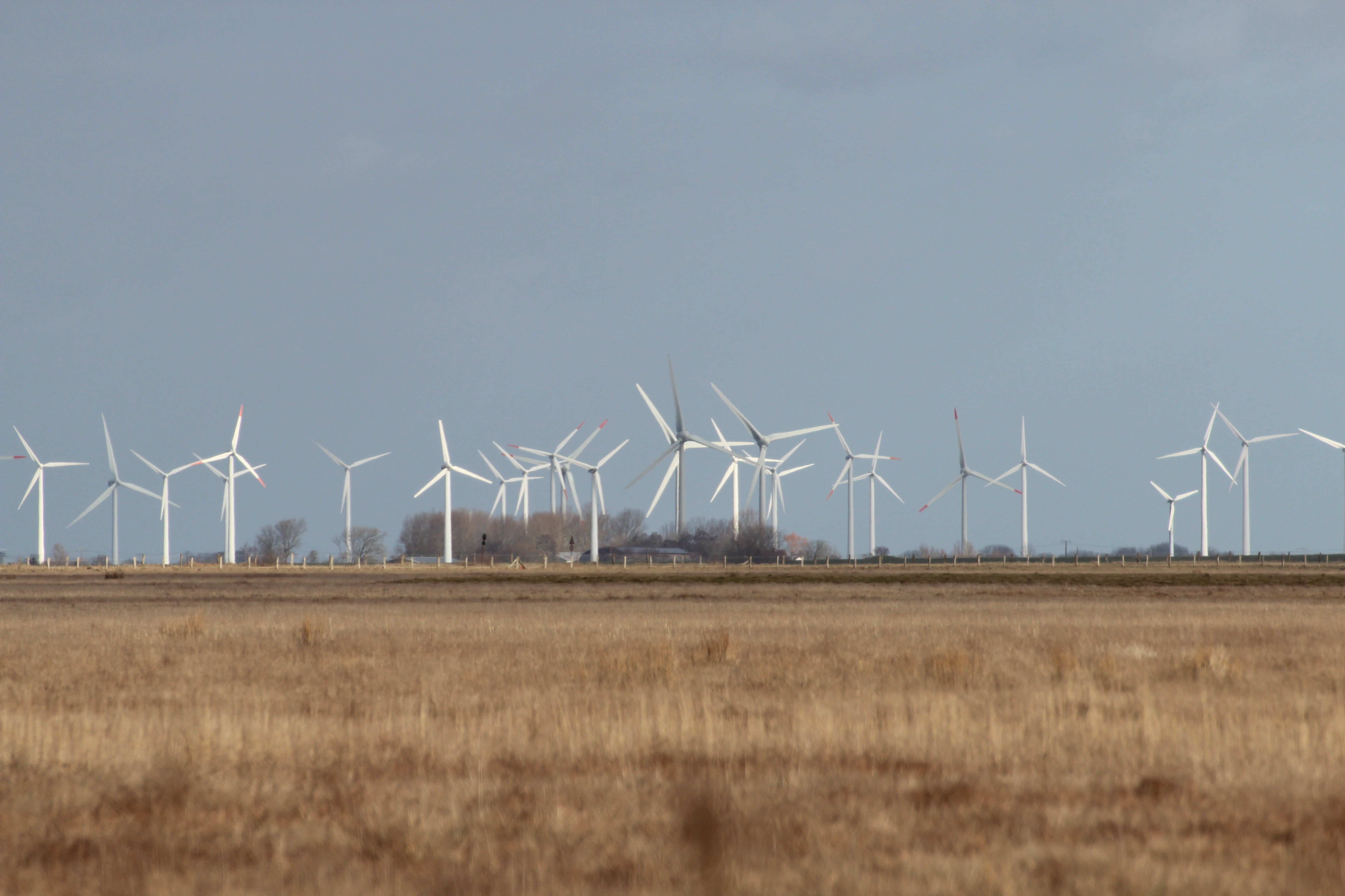 field, environment, 5K, agriculture, day, nature, wind park, wind power, renewable energy, no people, sustainable resources, turbine, meldorf bay, landscape, HD Wallpaper