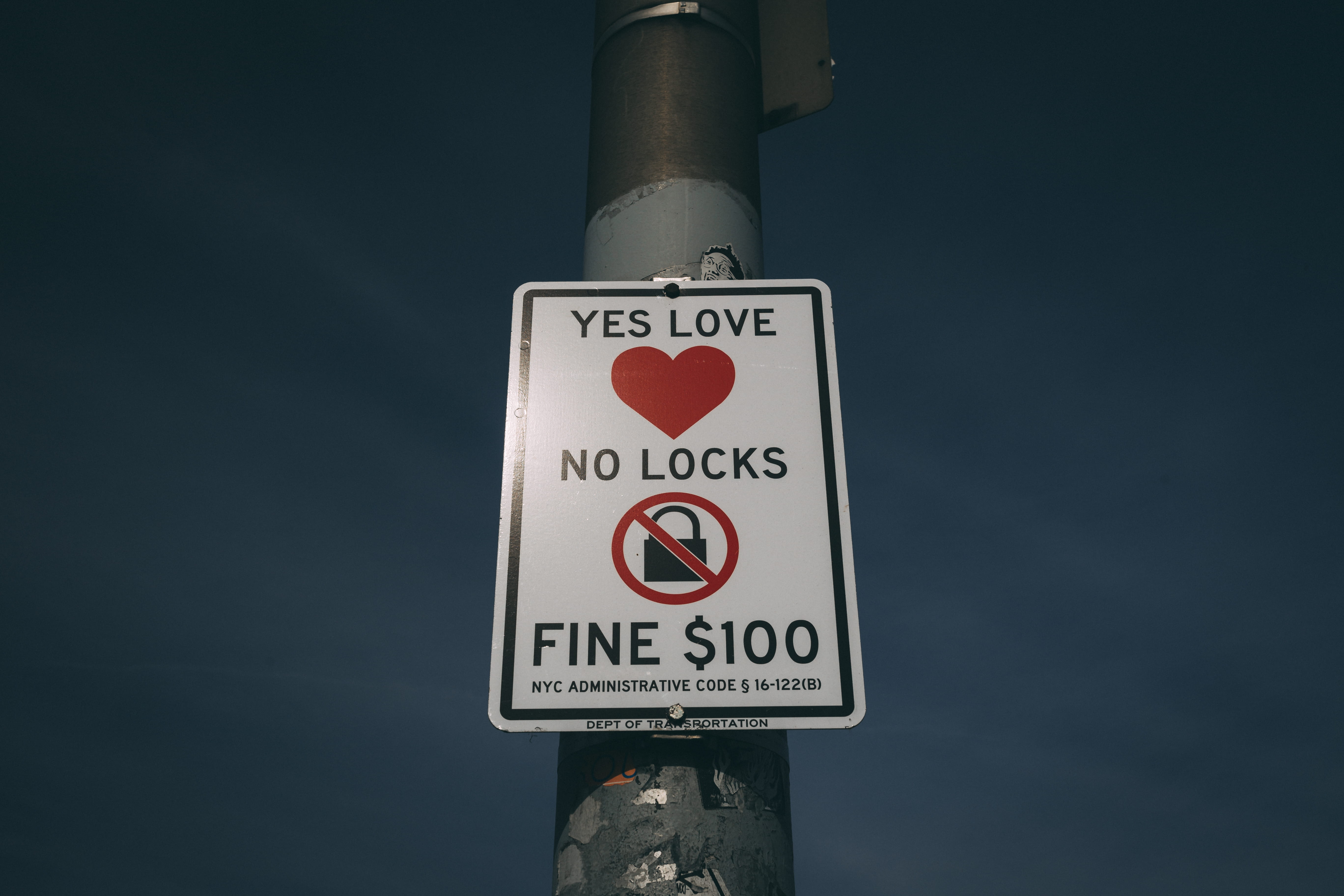 information sign, fun, guidance, symbol, bird, road sign, fine, outdoors, seagull, day, oilfield, stopsign, communication, locks, pole, nature, word, sign, HD Wallpaper