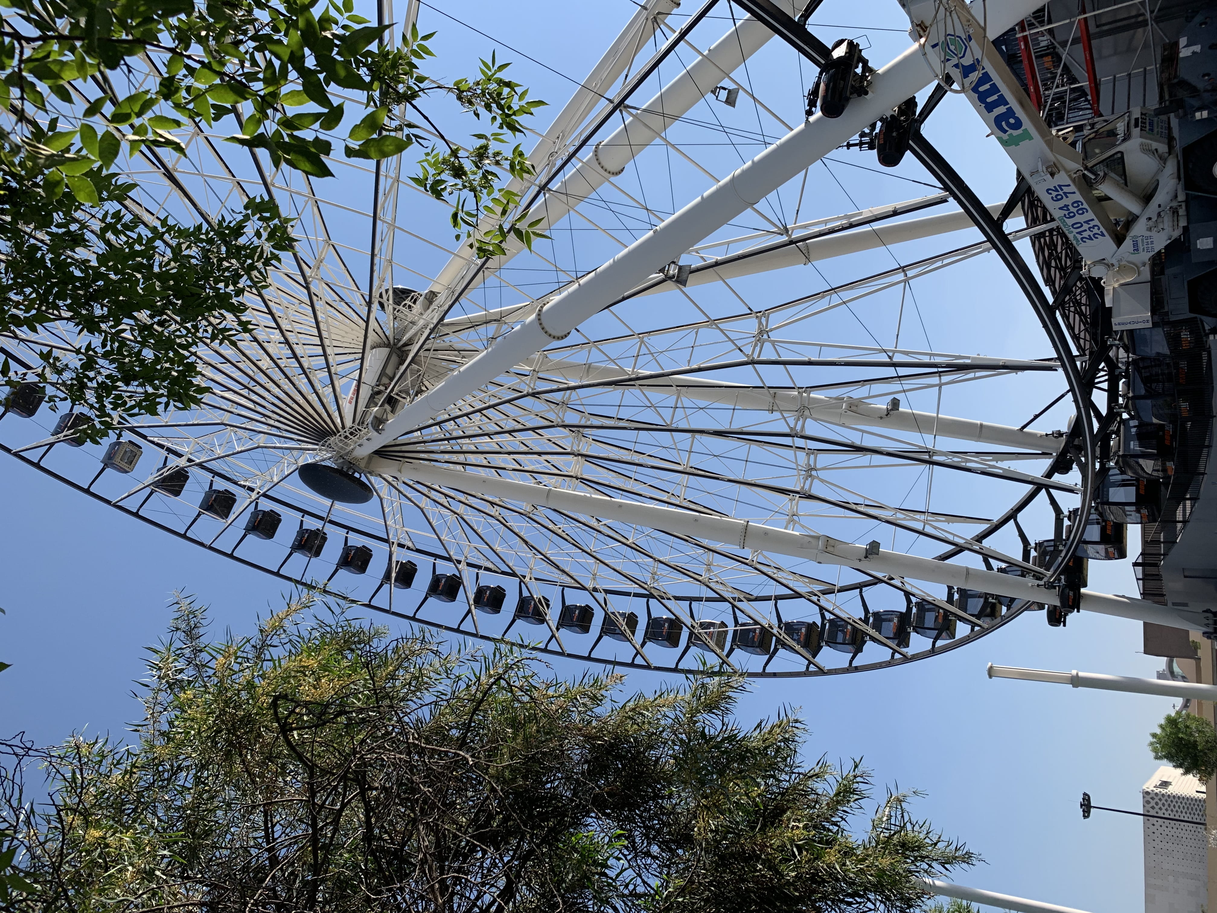 compass math, outdoors, iris, arbour, arts culture and entertainment, amusement park, ferris wheel, flower, construction crane, blossom, utility pole, day, HD Wallpaper