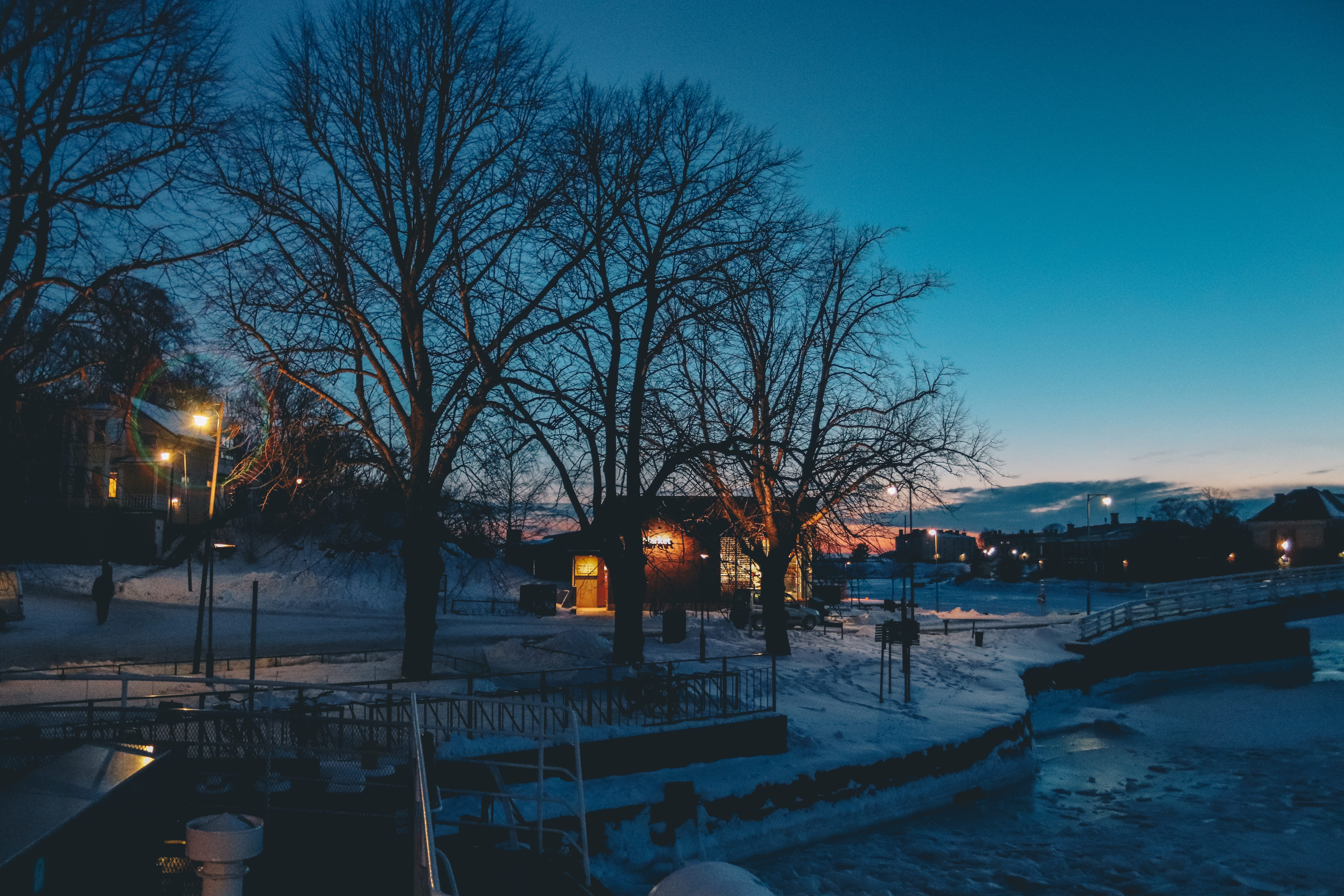 canal, shadow, winter, cold, street, covering, lighting equipment, dark, illuminated, outdoors, sky, tree, plant, cold temperature, lights, dusk, bare tree, HD Wallpaper