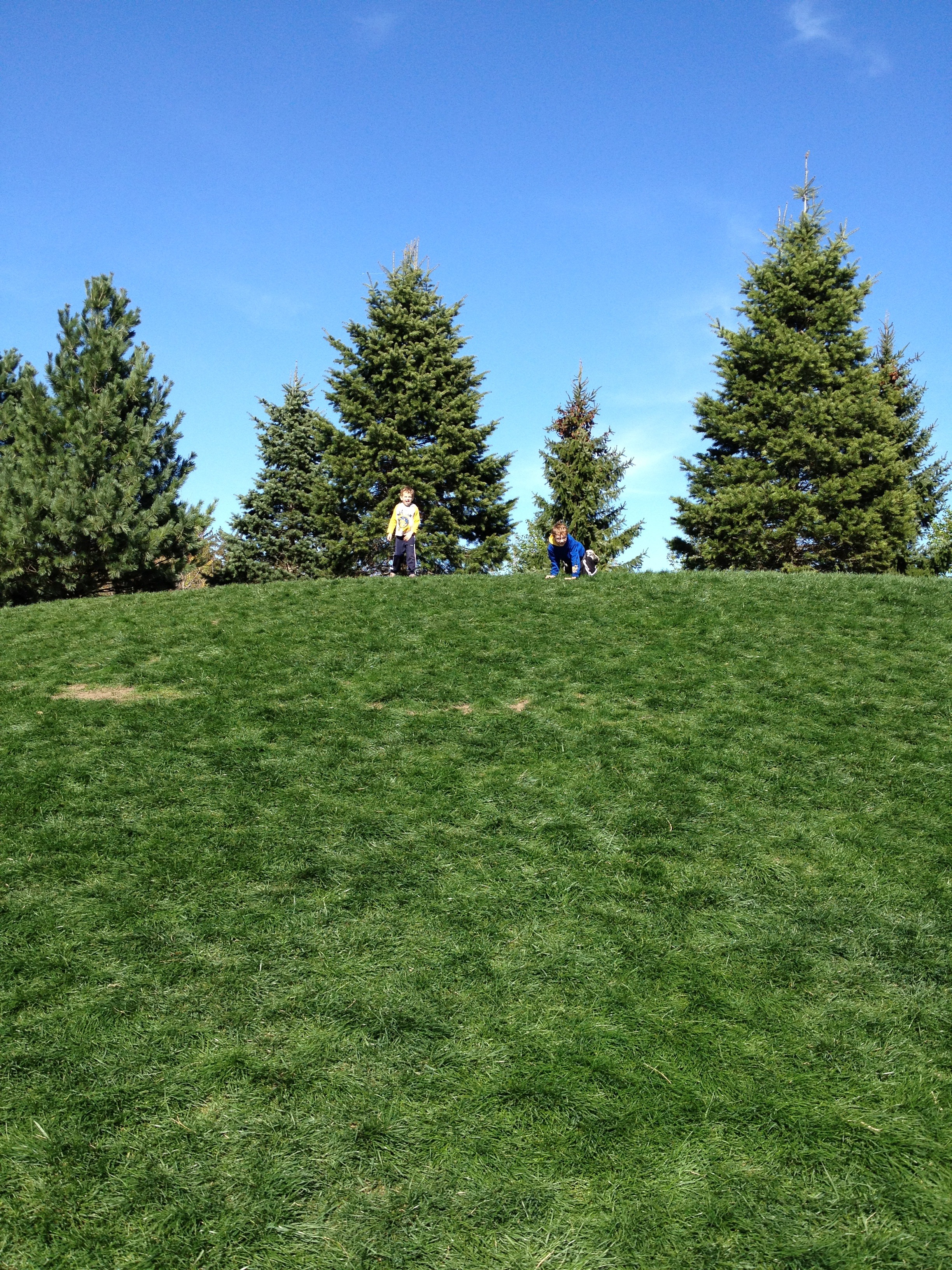 field, day, playing, tranquil scene, real people, group of people, rolling down, nature, landscape, plant, beauty in nature, sky, blue, grass, children, Phone HD Wallpaper
