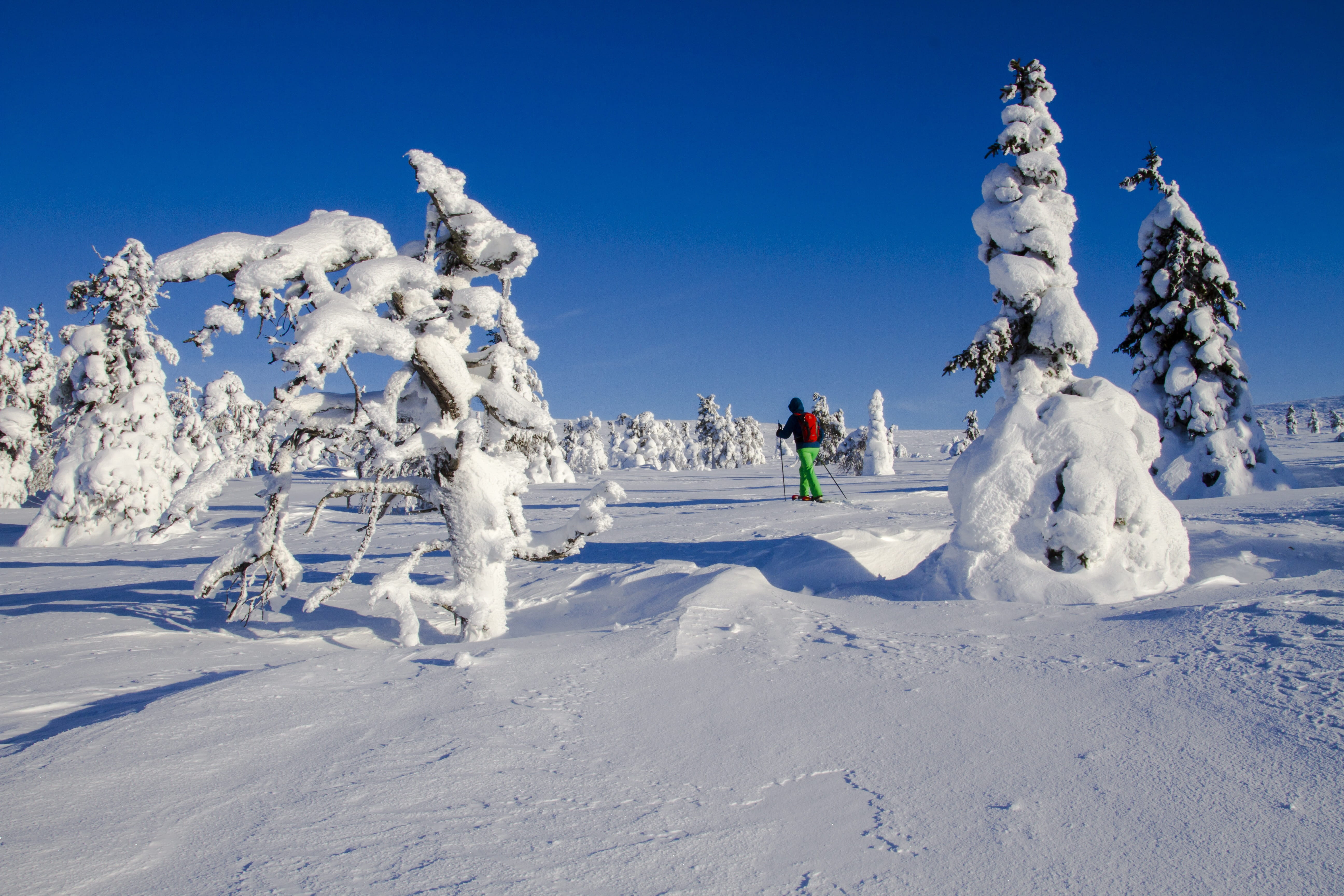 cold temperature, mountain, holiday, snow shoe snow shoe run, adventure, Snow Shoe, äkäslompolo, wintry, sky, nature, lapland, blue, leisure activity, scenics, HD Wallpaper
