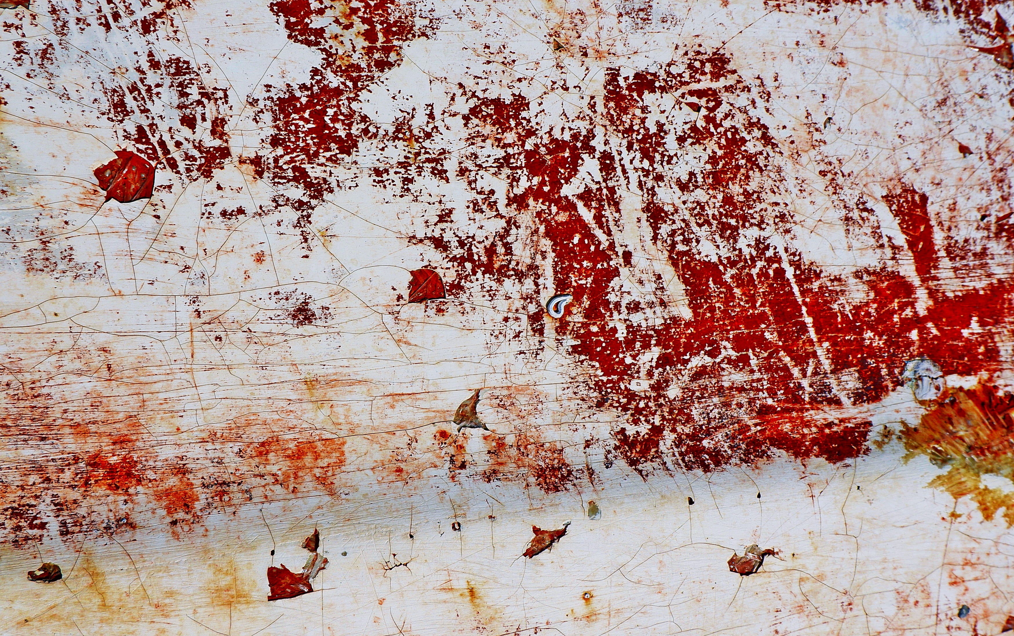 2K, backgrounds, art, nature, stain, pattern, no people, animal, rusty, old, outdoors, textured, modern art, weathered, plant, canvas, close-up, metal, HD Wallpaper