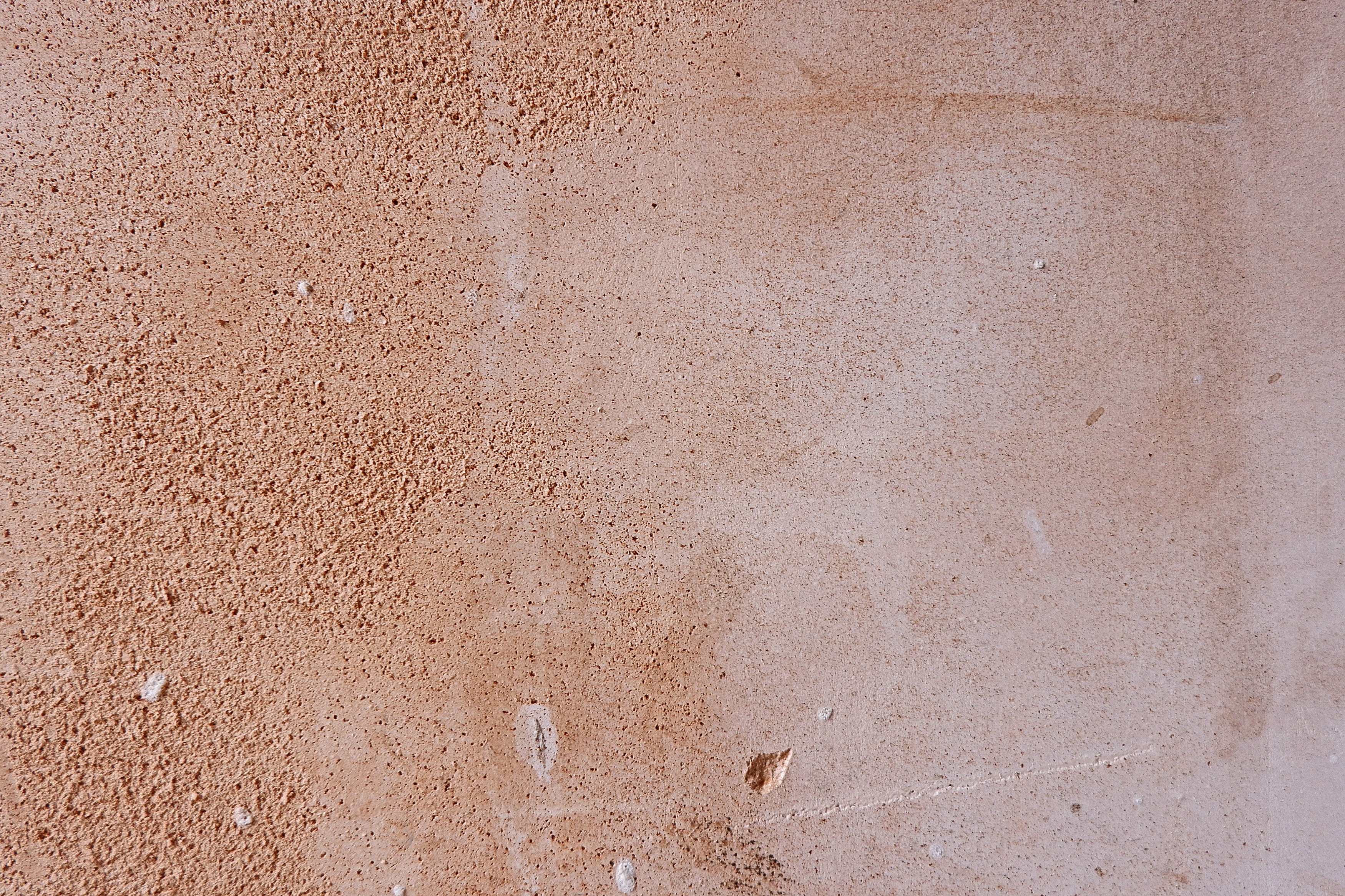 home decor, no people, ground, wall - building feature, architecture, cricket insect, land, backgrounds, animal, stain, word, textured, asphalt, day, texture, HD Wallpaper