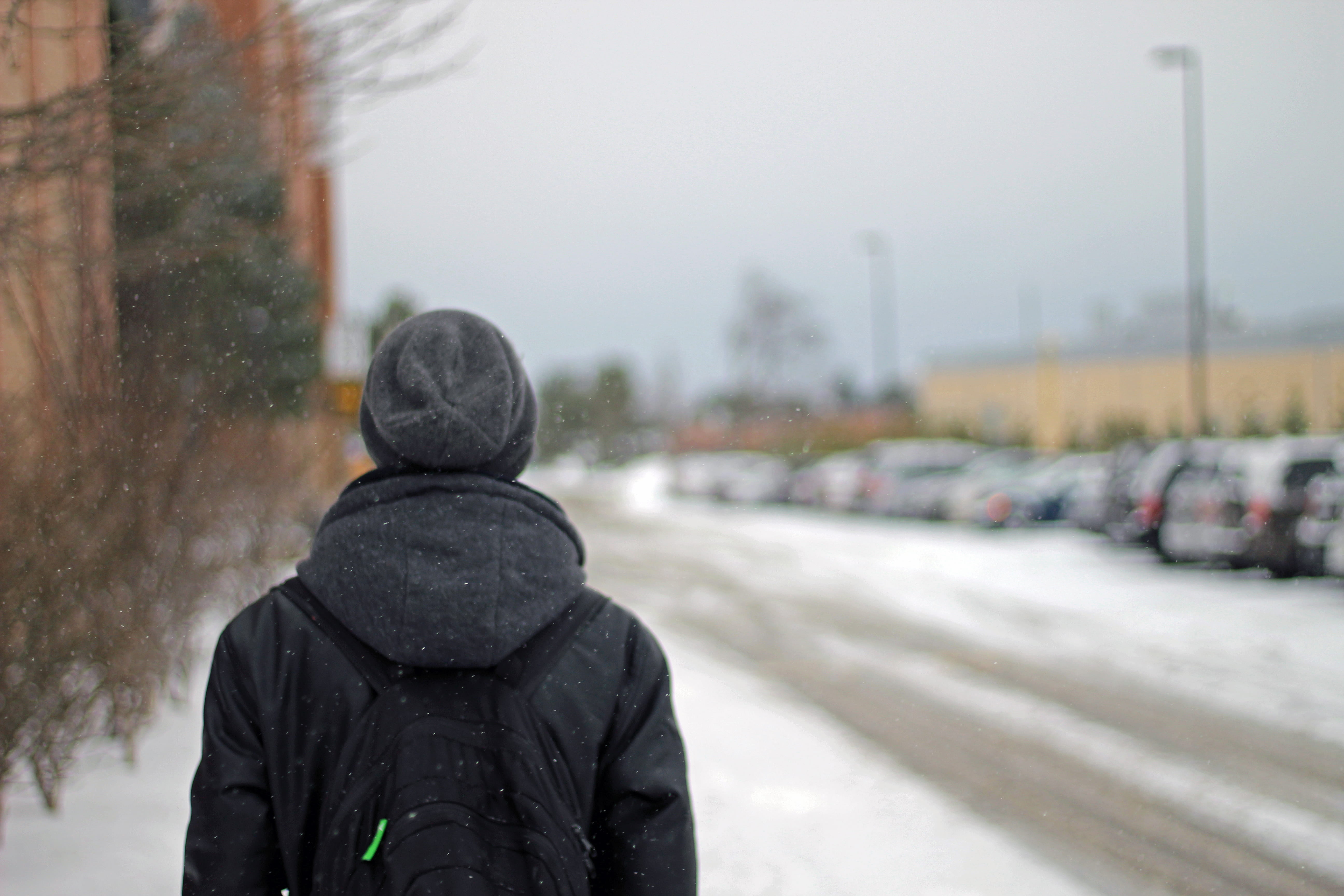 cold temperature, focus on foreground, snow, rain, nature, walking, outdoors, waist up, canada, day, whitby, street, winter, transportation, warm clothing, HD Wallpaper