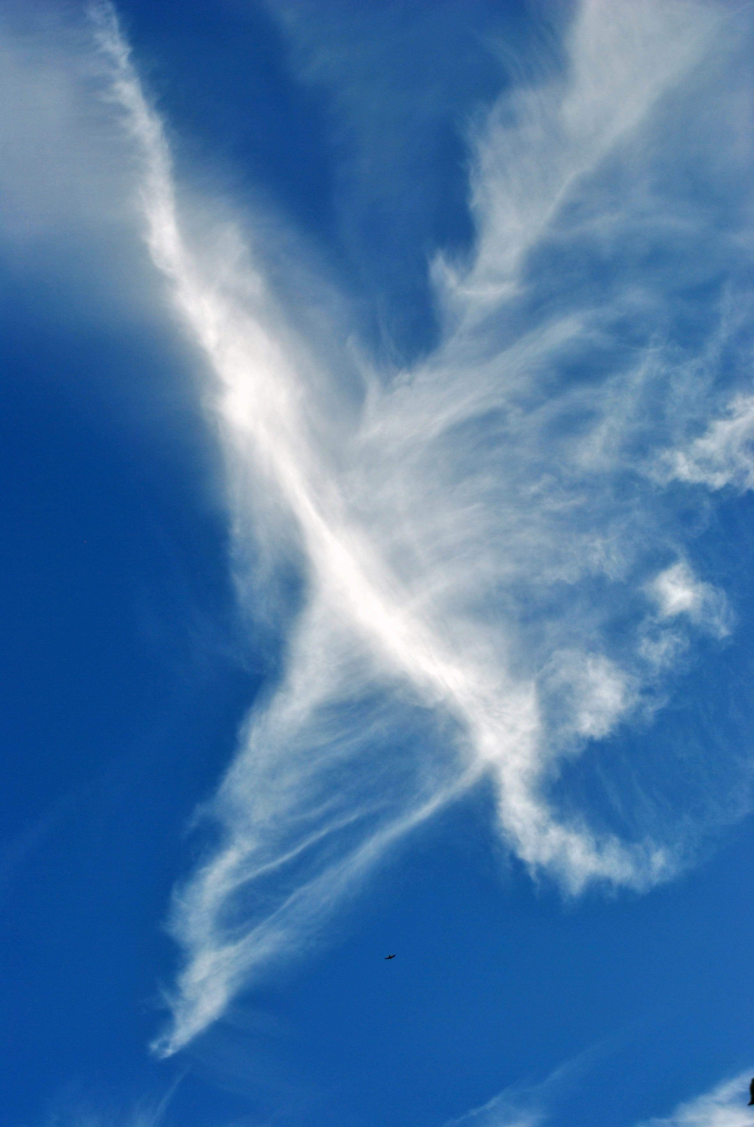 nature, wispy, tranquil scene, meteorology, low angle view, no people, day, backgrounds, tranquility, cloud - sky, vapour trails detail, climate, outdoors, Phone HD Wallpaper