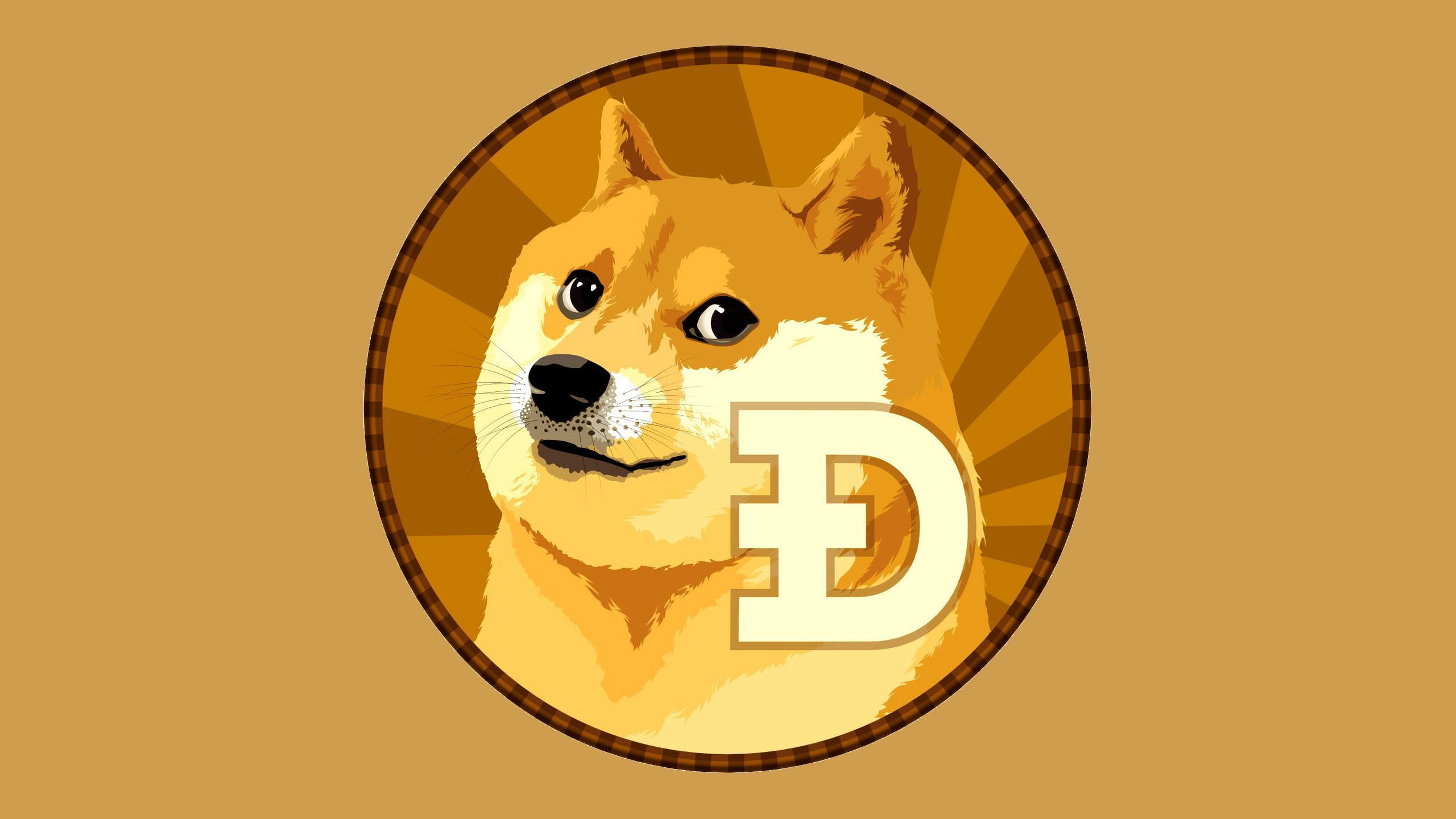 indoors, orange color, connection, business, wireless technology, doge, creativity, sign, cut out, communication, studio shot, planning, 2K, close-up, HD Wallpaper
