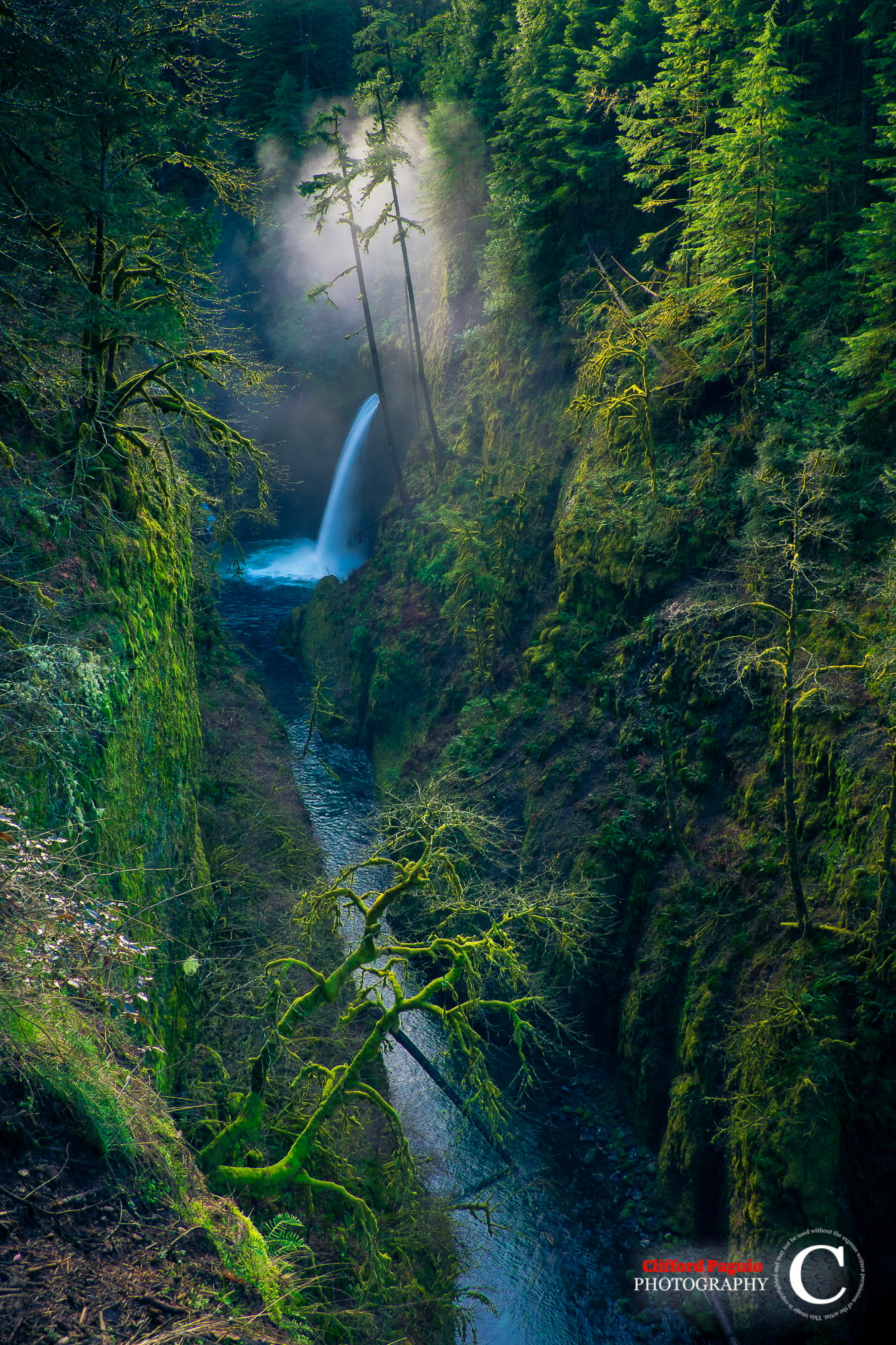 Clifford Paguio, waterfall, landscape, forest, moss, Oregon, trees, 1080P, USA, water, valley, portrait display, nature, long exposure, Phone HD Wallpaper