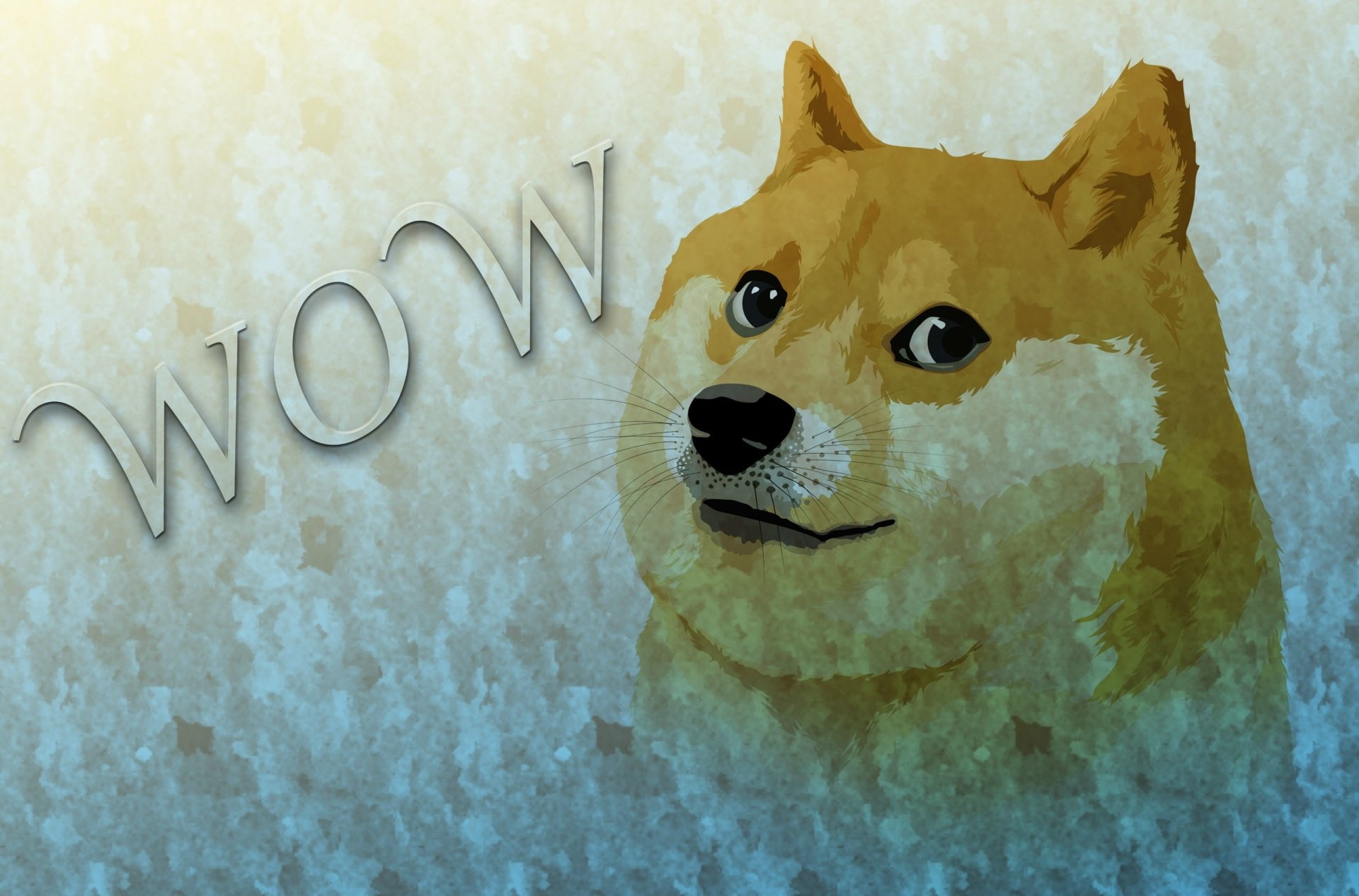 Humor, Doge, 1080P, HD Wallpaper