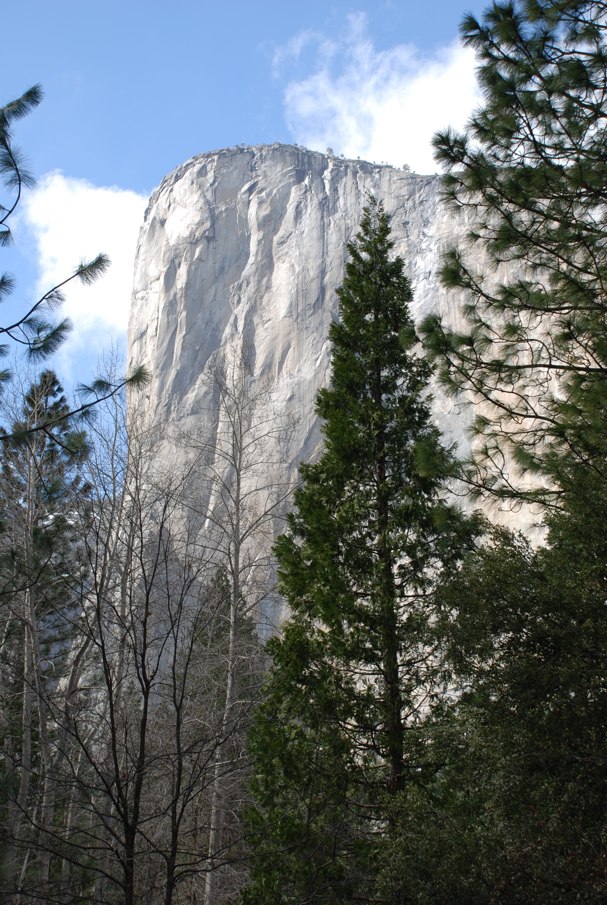 2K, travel, National Parks, rock formation, america, plant, cloud - sky, el capitan, growth, tranquil scene, Yosemite, beauty in nature, forest, tranquility, Phone HD Wallpaper