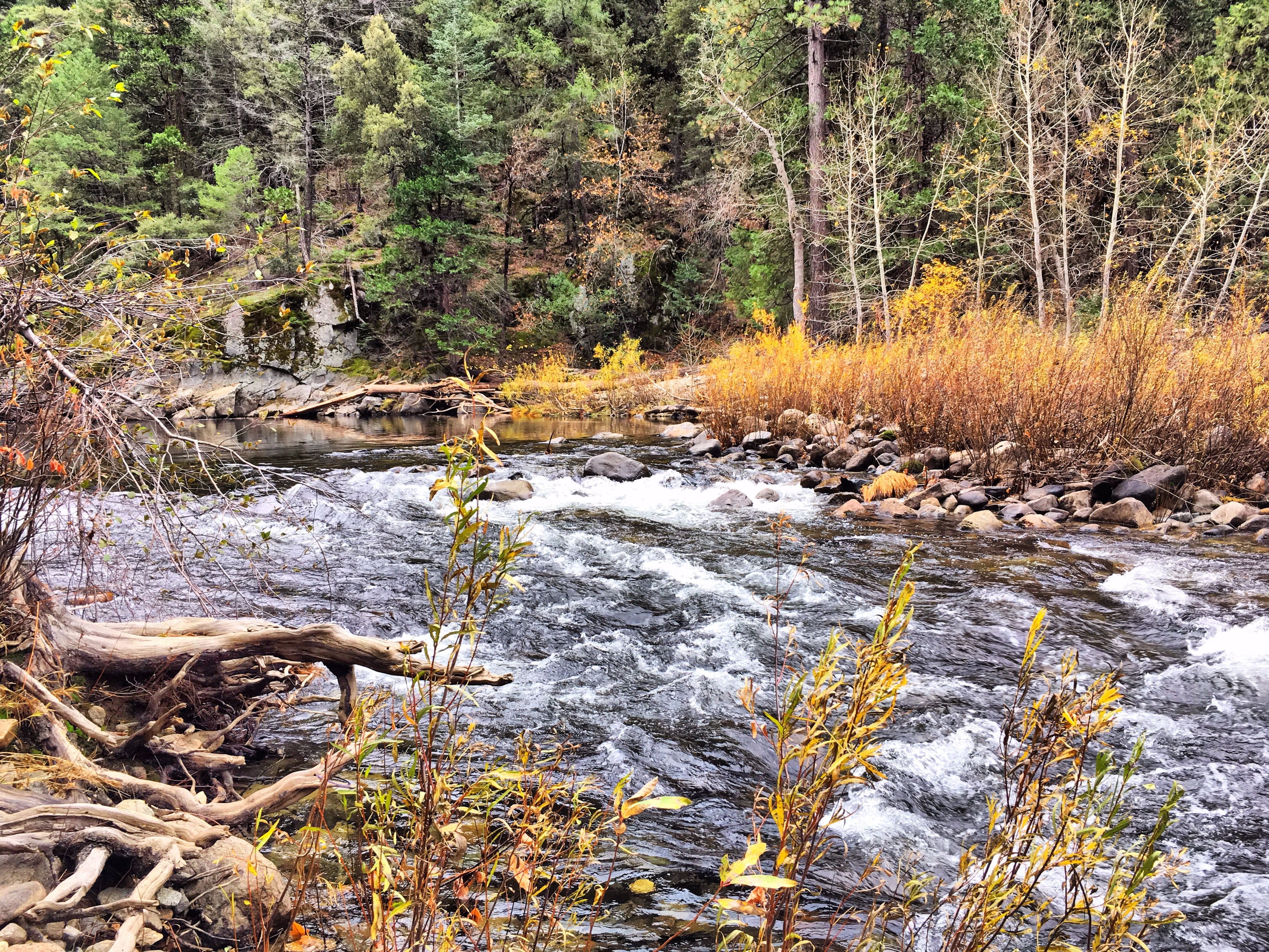 stream, california, outdoor, falls, waterfall, motion, stream - flowing water, plant, tourism, sierra, tranquility, beauty in nature, yosemite, national, HD Wallpaper