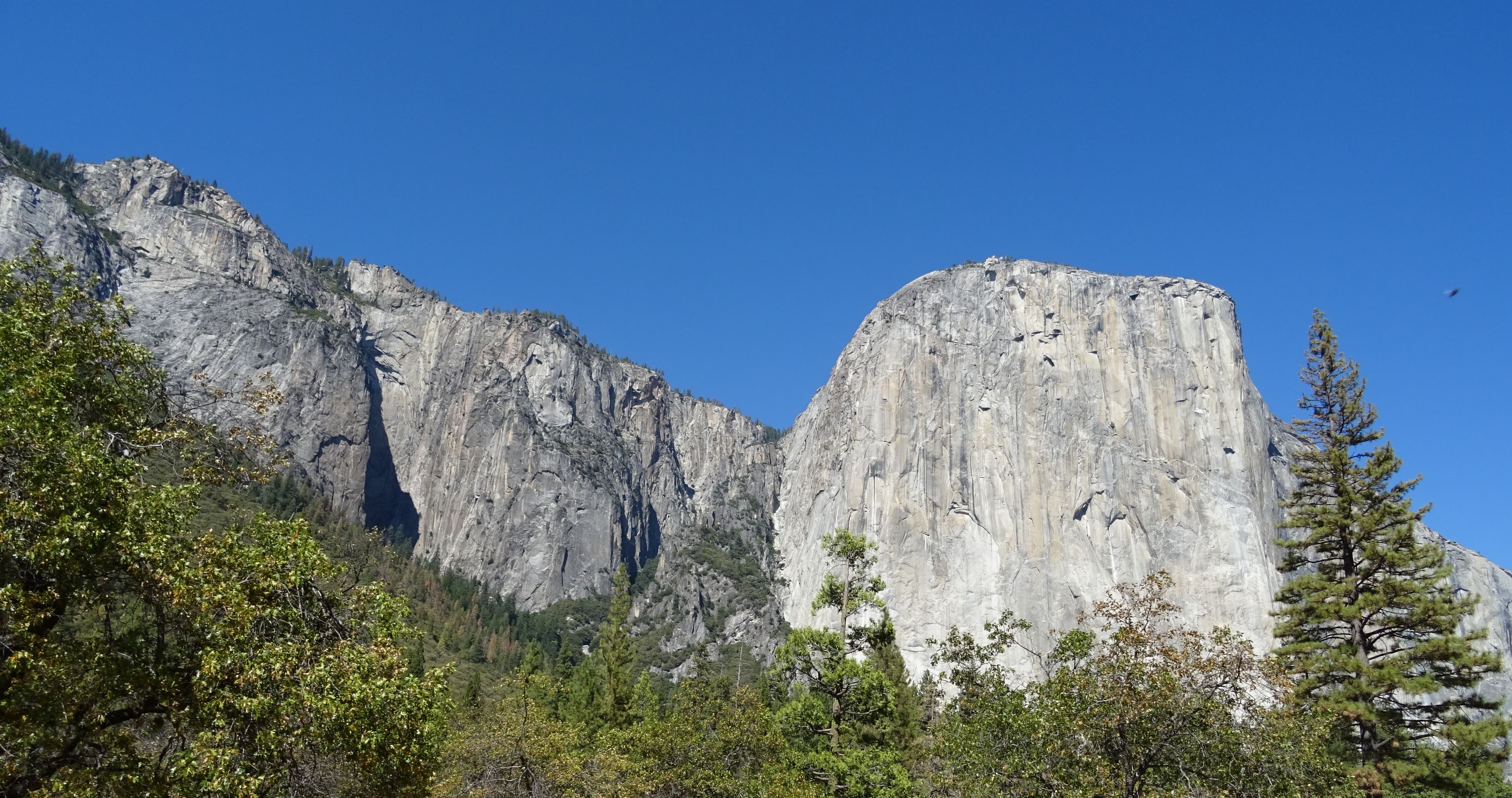 rock formation, non-urban scene, el capitan, travel, pine woodland, plant, pine tree, landscape, mountain range, granite, environment, sky, outdoors, america, HD Wallpaper