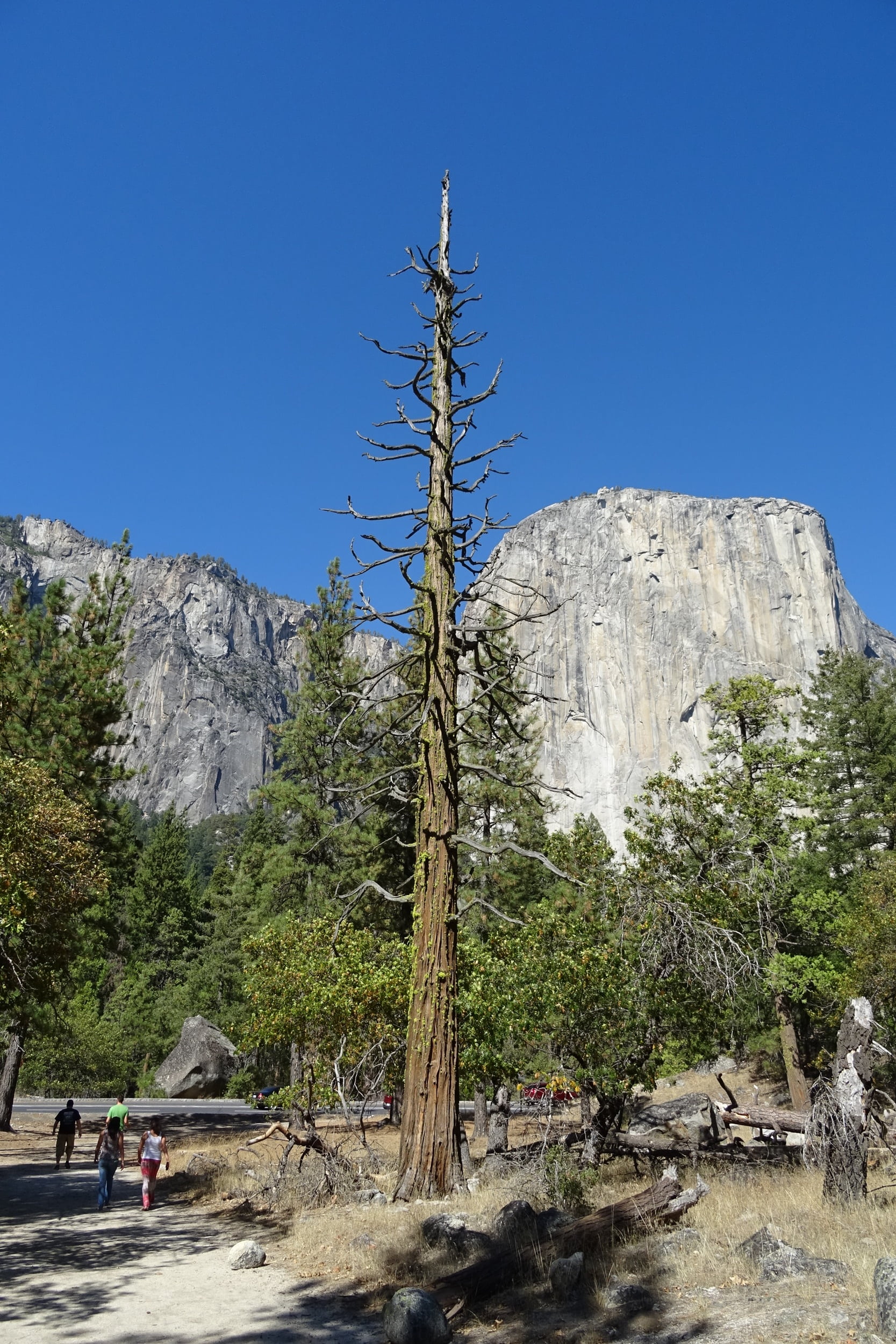 beauty in nature, tranquility, nature, day, sky, scenery, tranquil scene, 1080P, monolith, california, scenics - nature, geological, tree, formation, land, Phone HD Wallpaper