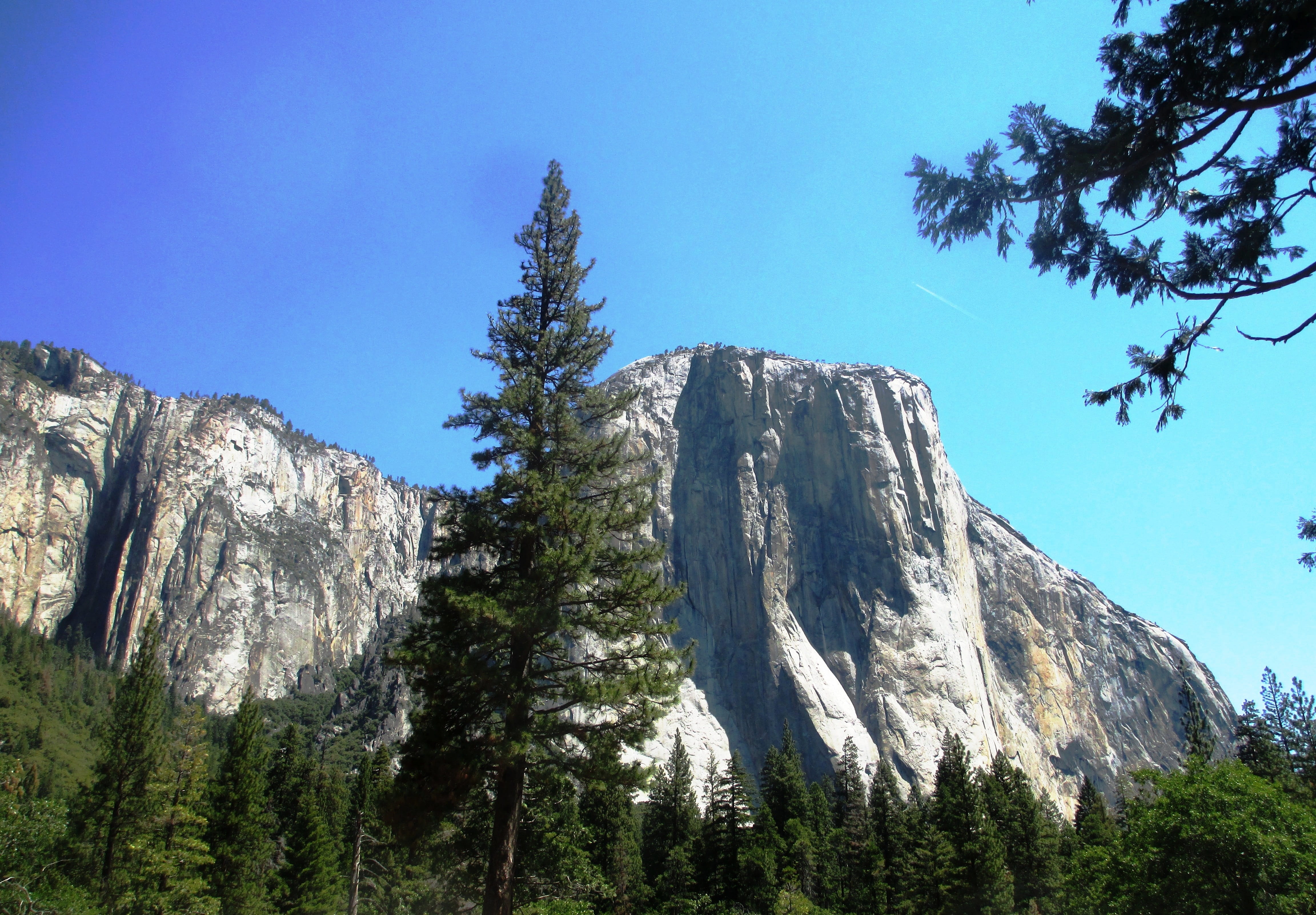 rocky mountains, growth, landmark, outdoors, sky, landscape, 4K, plant, el capitan, tree, beauty in nature, mountaineering, trees, wall, clear sky, park, HD Wallpaper