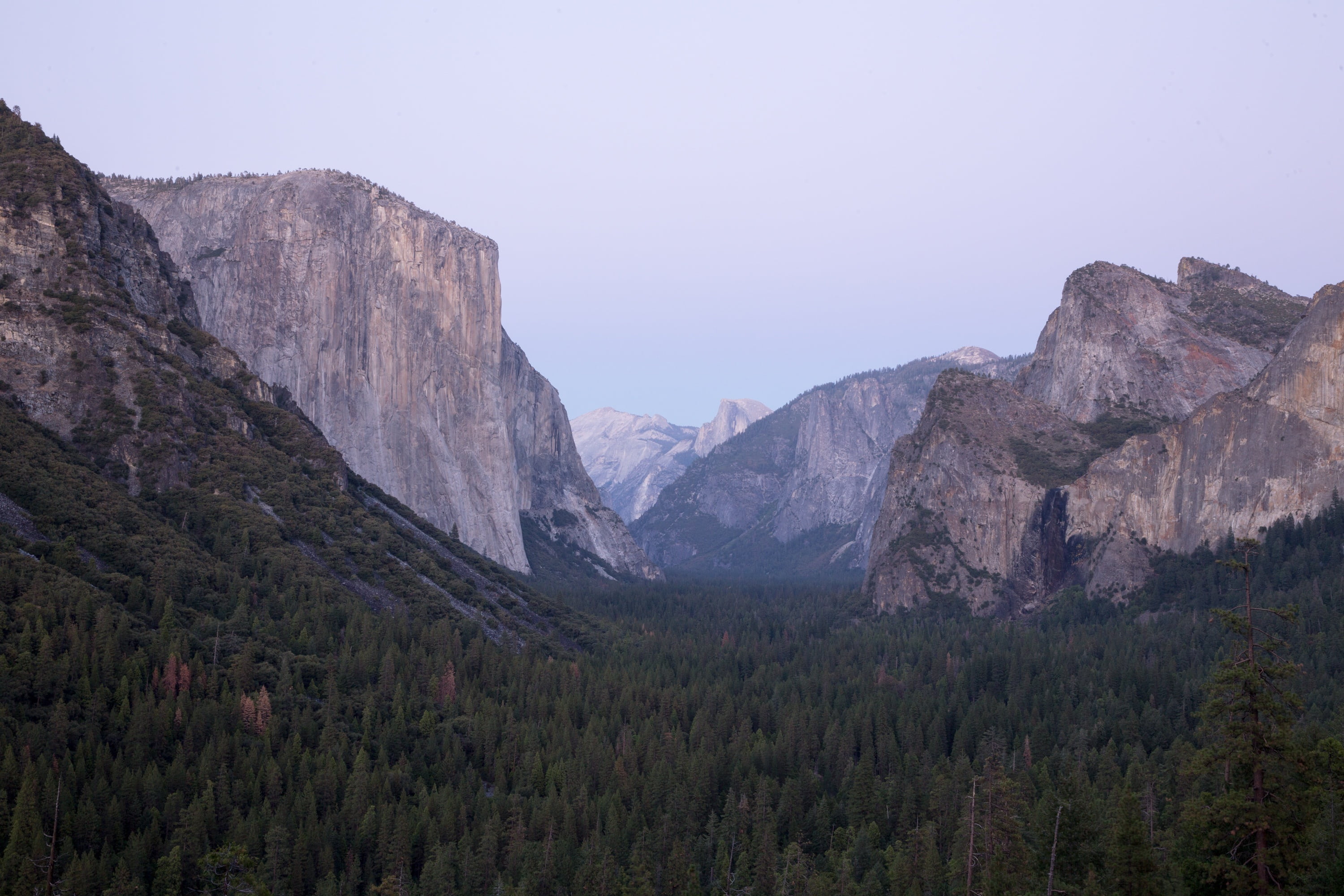 trees, granite, scenics, pine tree, non-urban scene, rock, mountain peak, physical geography, usa, coniferous tree, tree, view, tranquil scene, america, HD Wallpaper