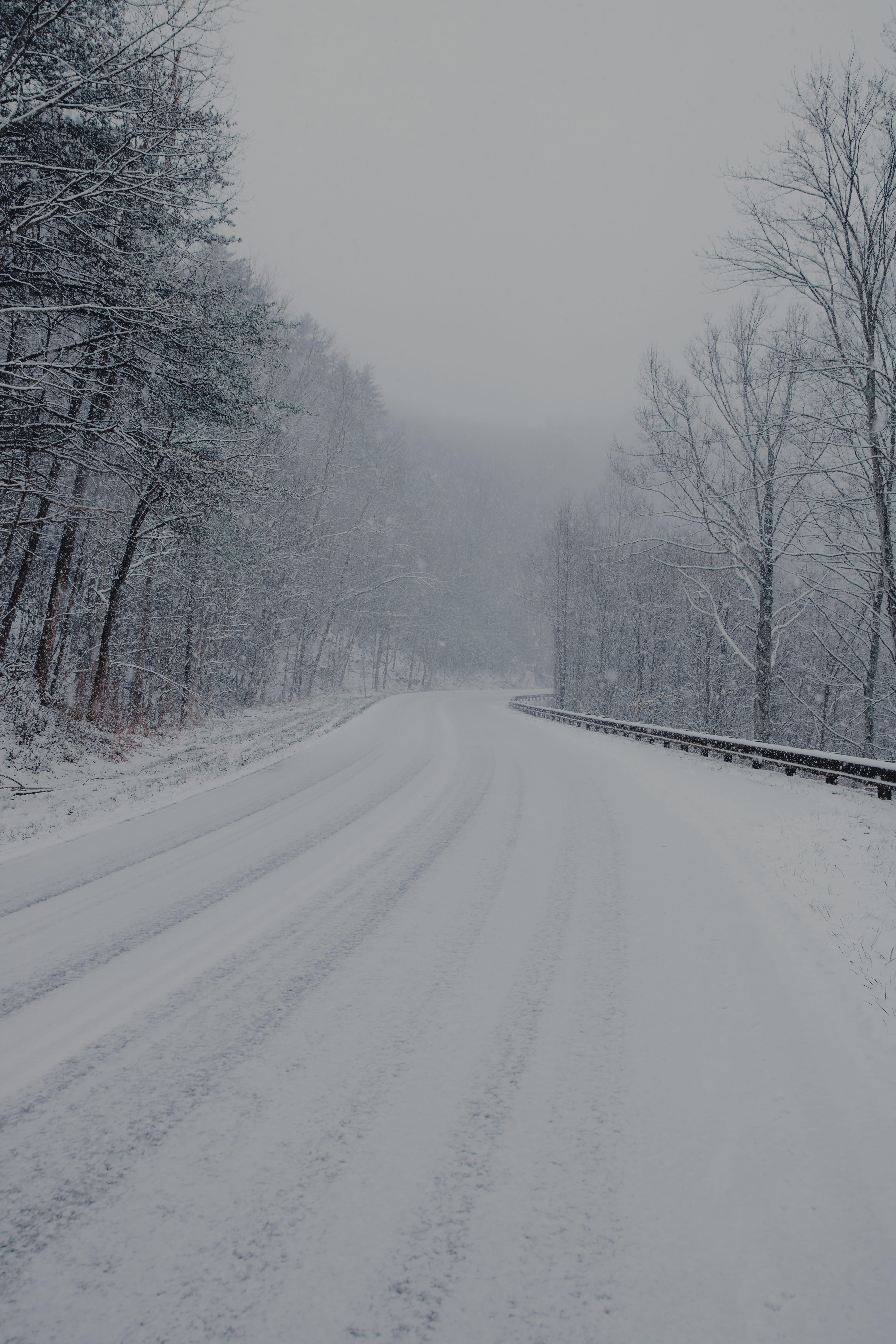 snowy, sky, snow, tranquil scene, mood, tranquility, tellico plains, white color, cold, landscape, nature, diminishing perspective, trees, transportation, Phone HD Wallpaper