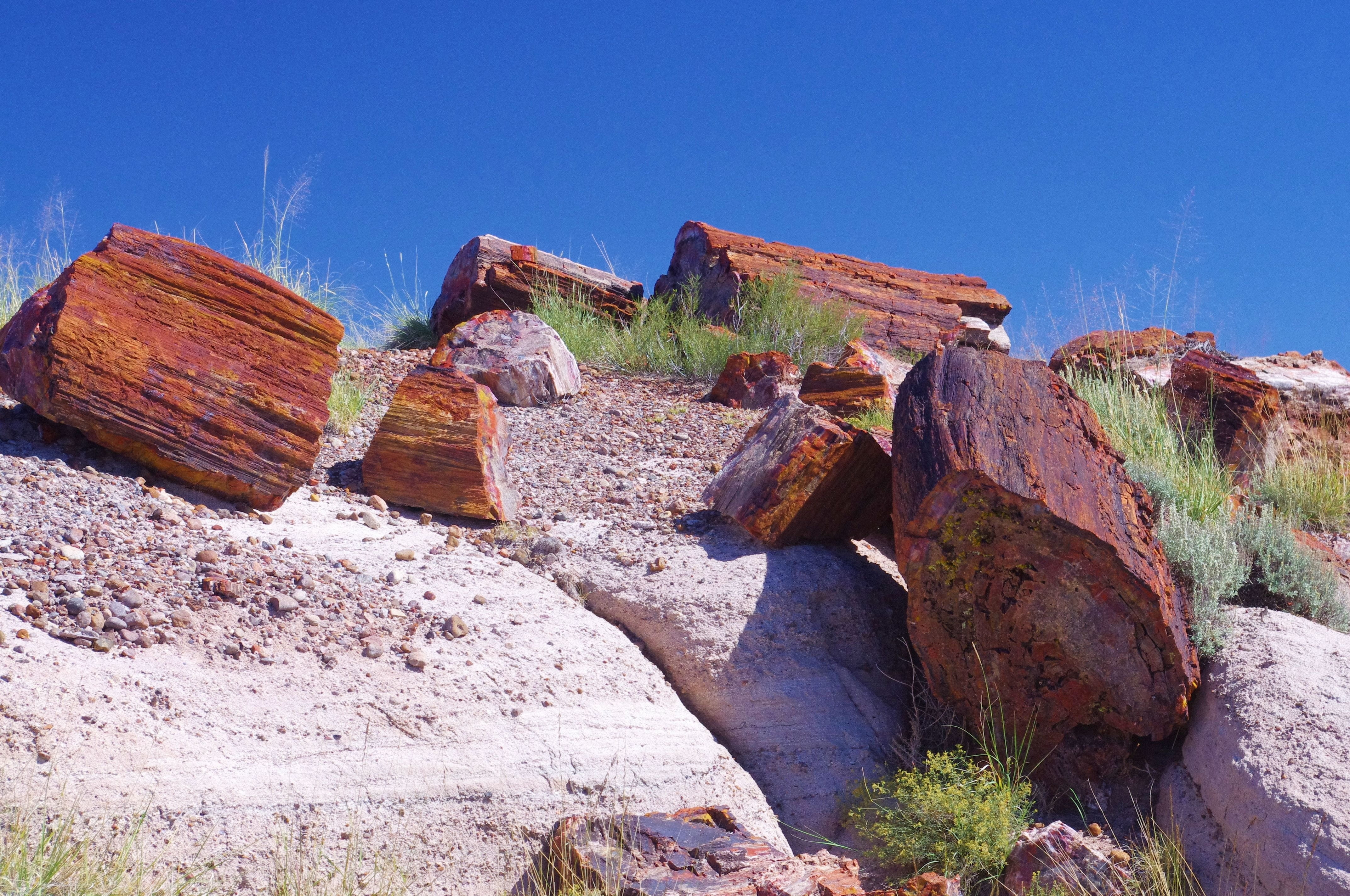 rock - object, semi-arid, opal, landscape, scenics - nature, day, deadwood, erosion, geology, beauty in nature, sandstone, solid, outdoors, environment, HD Wallpaper