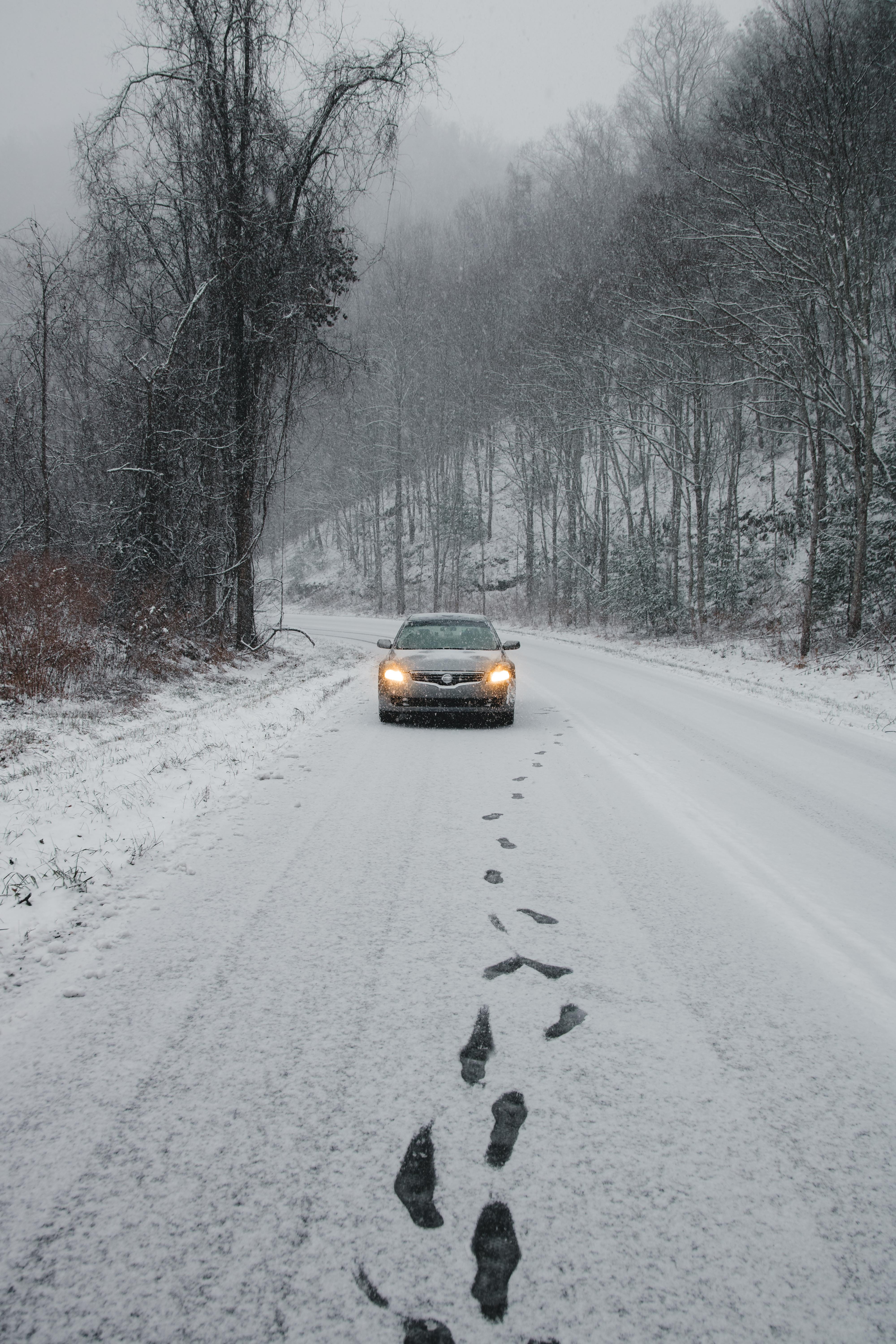 motor vehicle, cold, the way forward, mountains, mountain, mode of transportation, altima, travel, christmas, bare tree, winter, forest, tellico plains, Phone HD Wallpaper