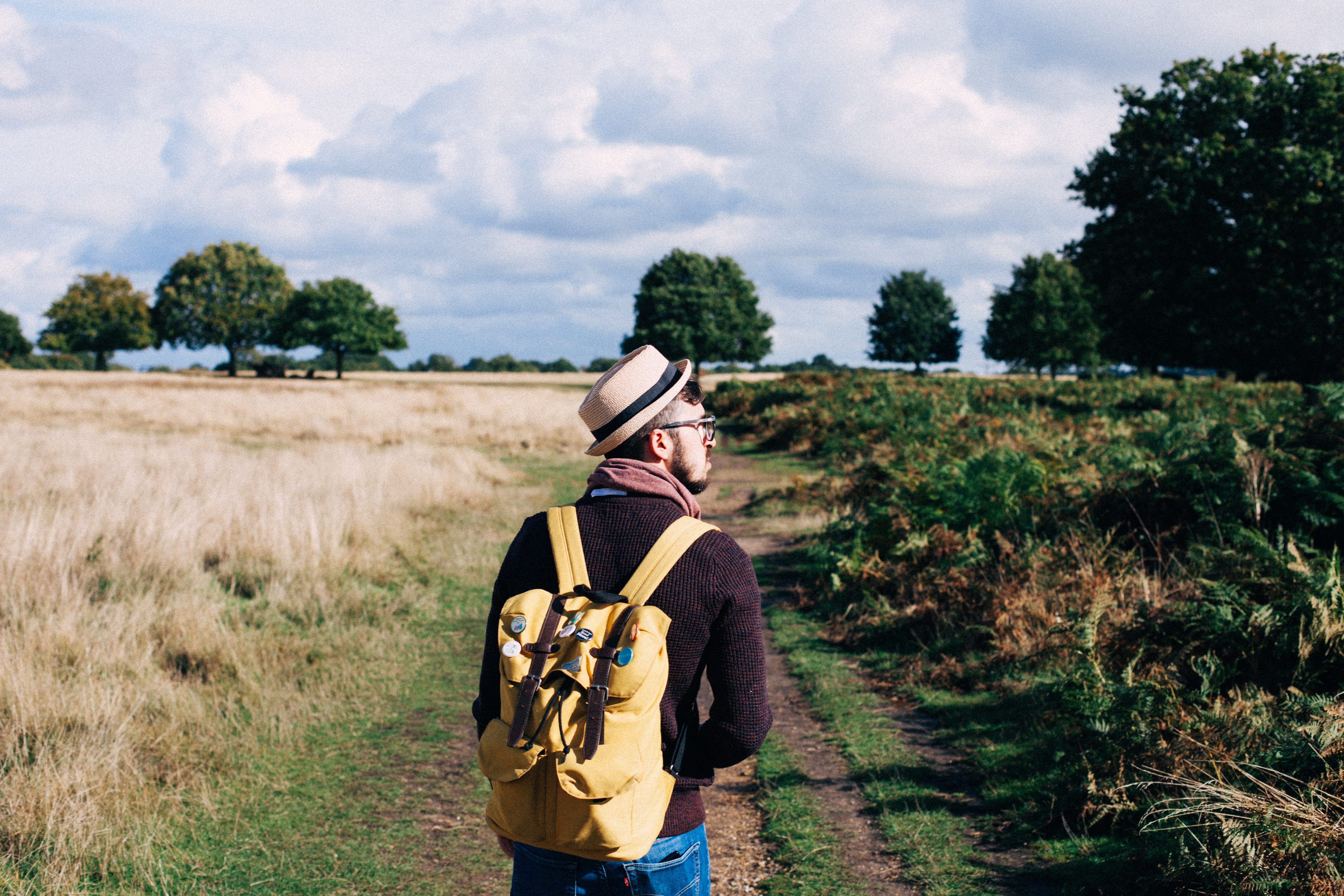 standing, summer, plant, walking, rear view, man, pathway, travel, leisure activity, field, cropland, countryside, leisure, wear, waist up, three quarter length, HD Wallpaper