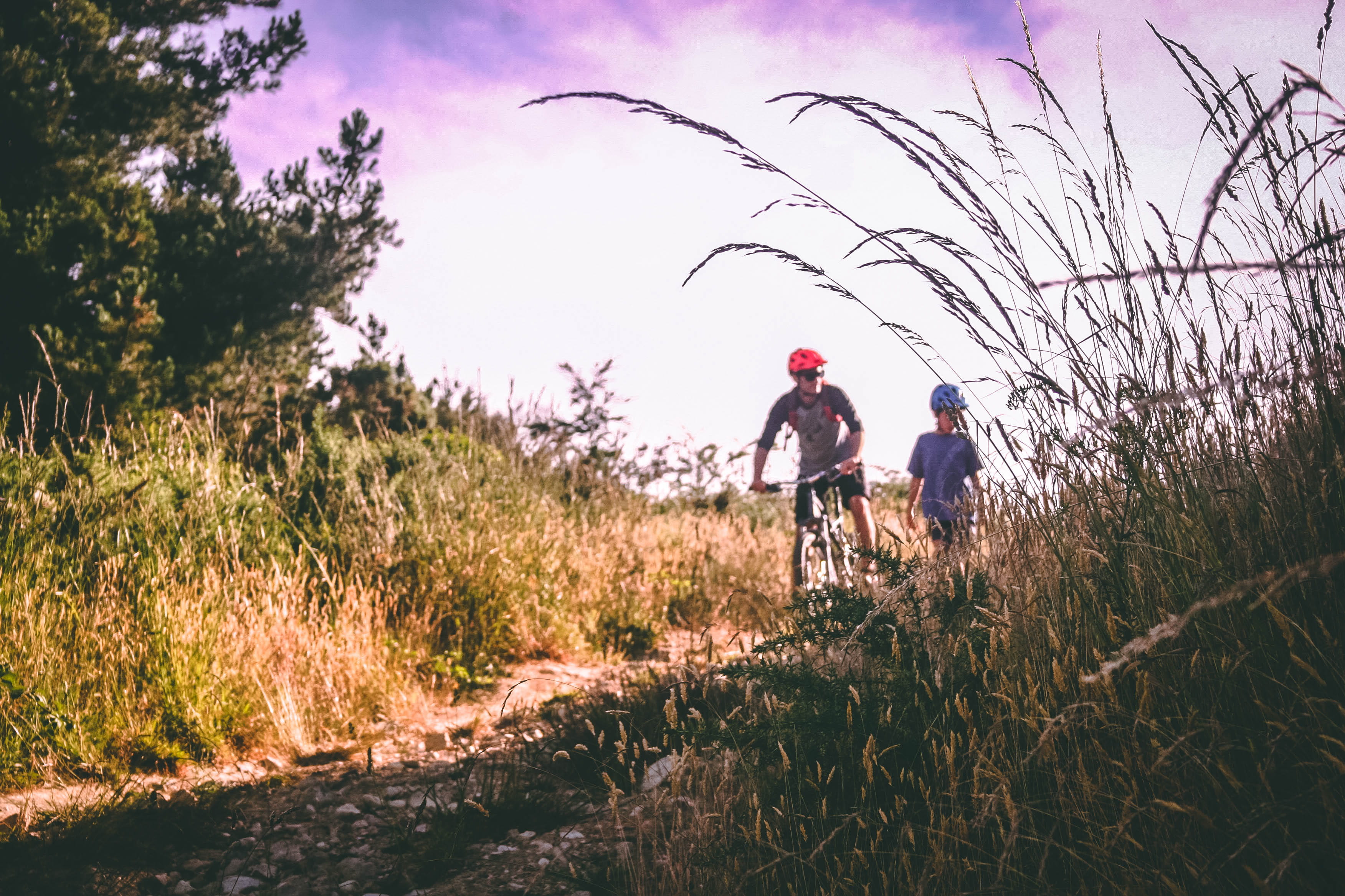 land, sky, adult, adventure, outdoors, togetherness, plant, 2K, lifestyles, bike, lined, leisure activity, two, daylight, people, bush, tree, helmet, rear view, HD Wallpaper