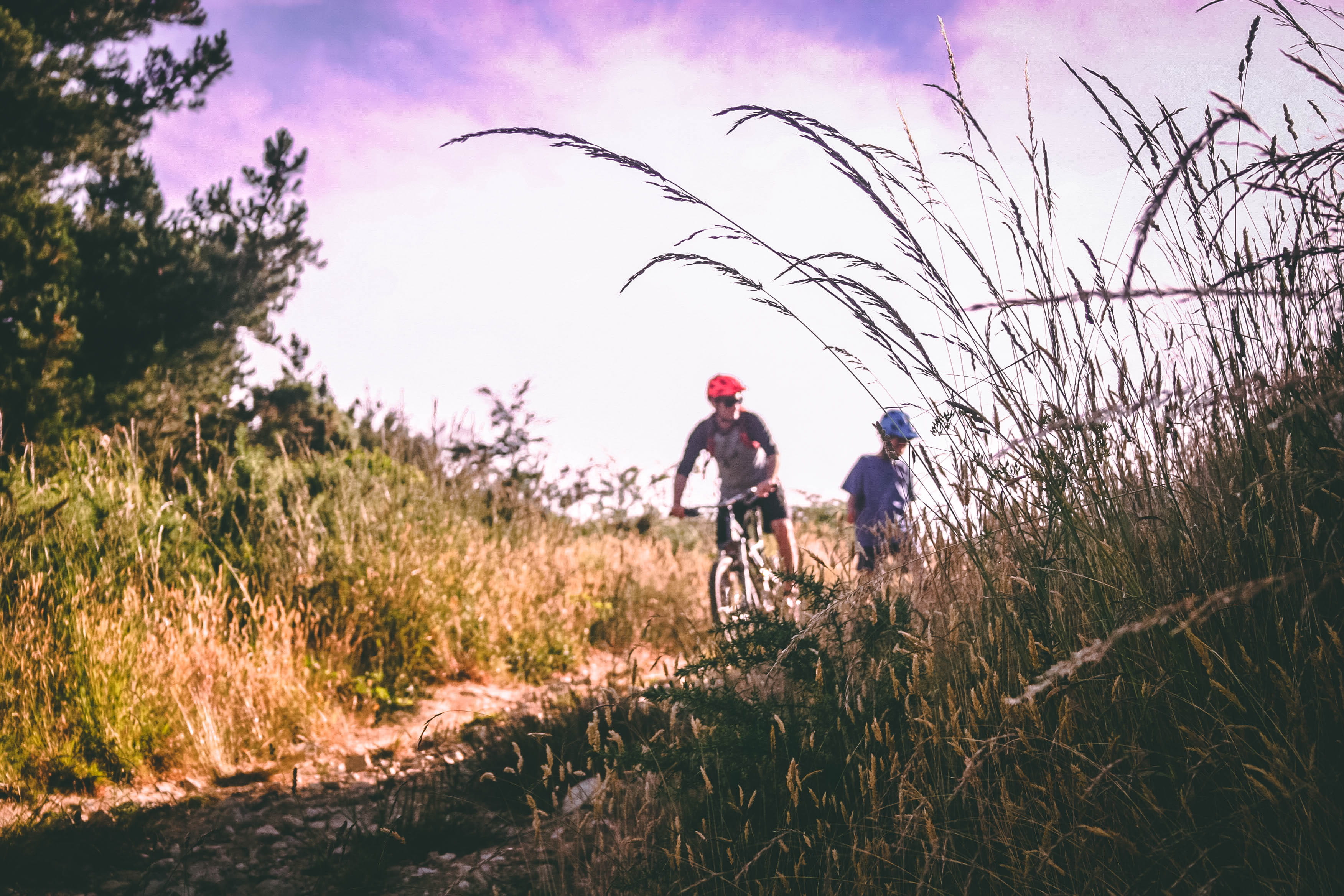 clouds, nature, biking, people, couple - relationship, land, lifestyles, bicycle, outdoors, plant, tree, men, mountain biking, sky, riding, two people, HD Wallpaper