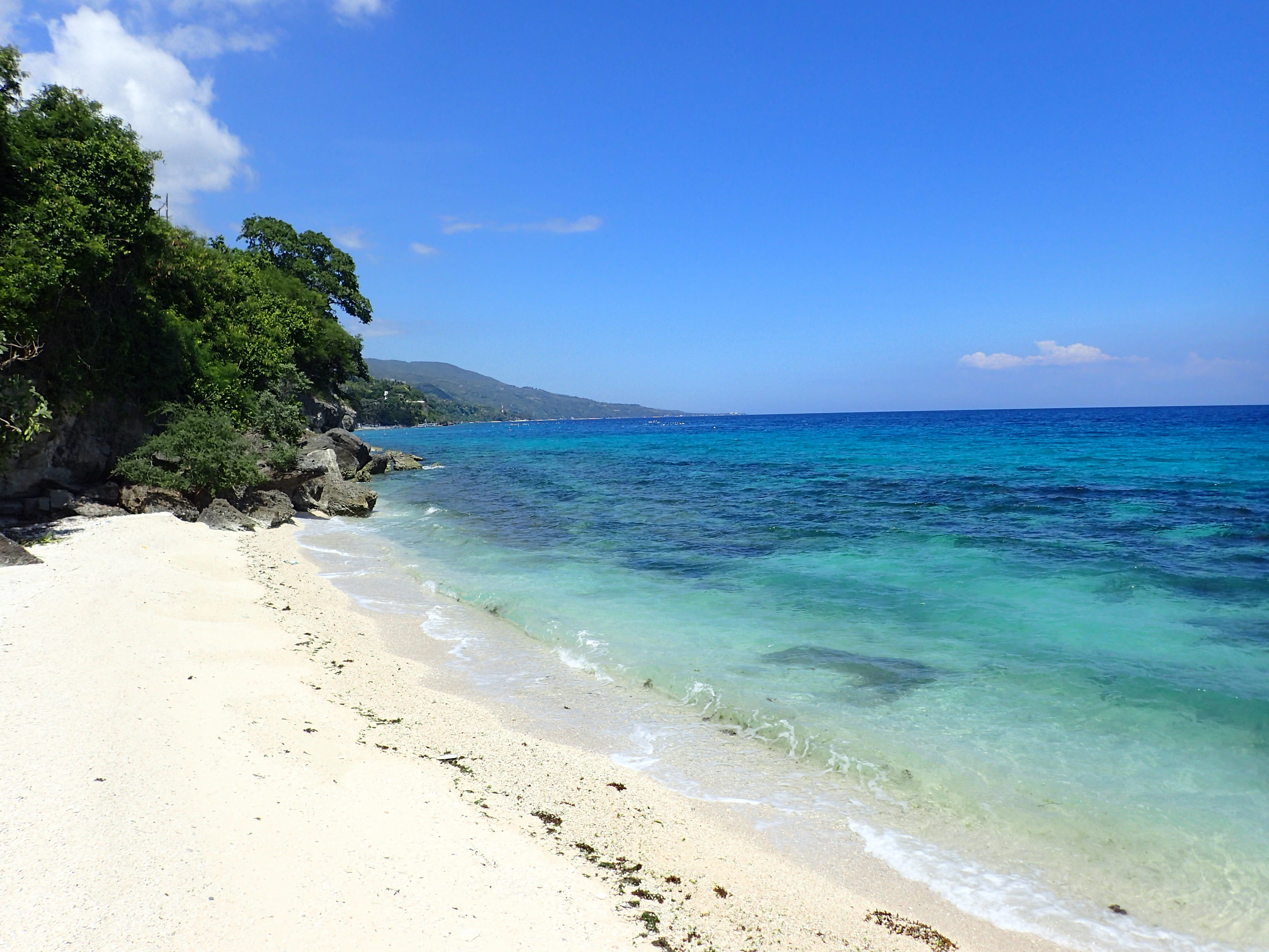 seashore, tranquility, day, near, water, tree, turquoise colored, beauty in nature, plant, tranquil scene, daytime, horizon over water, Philippines, Cebu, HD Wallpaper