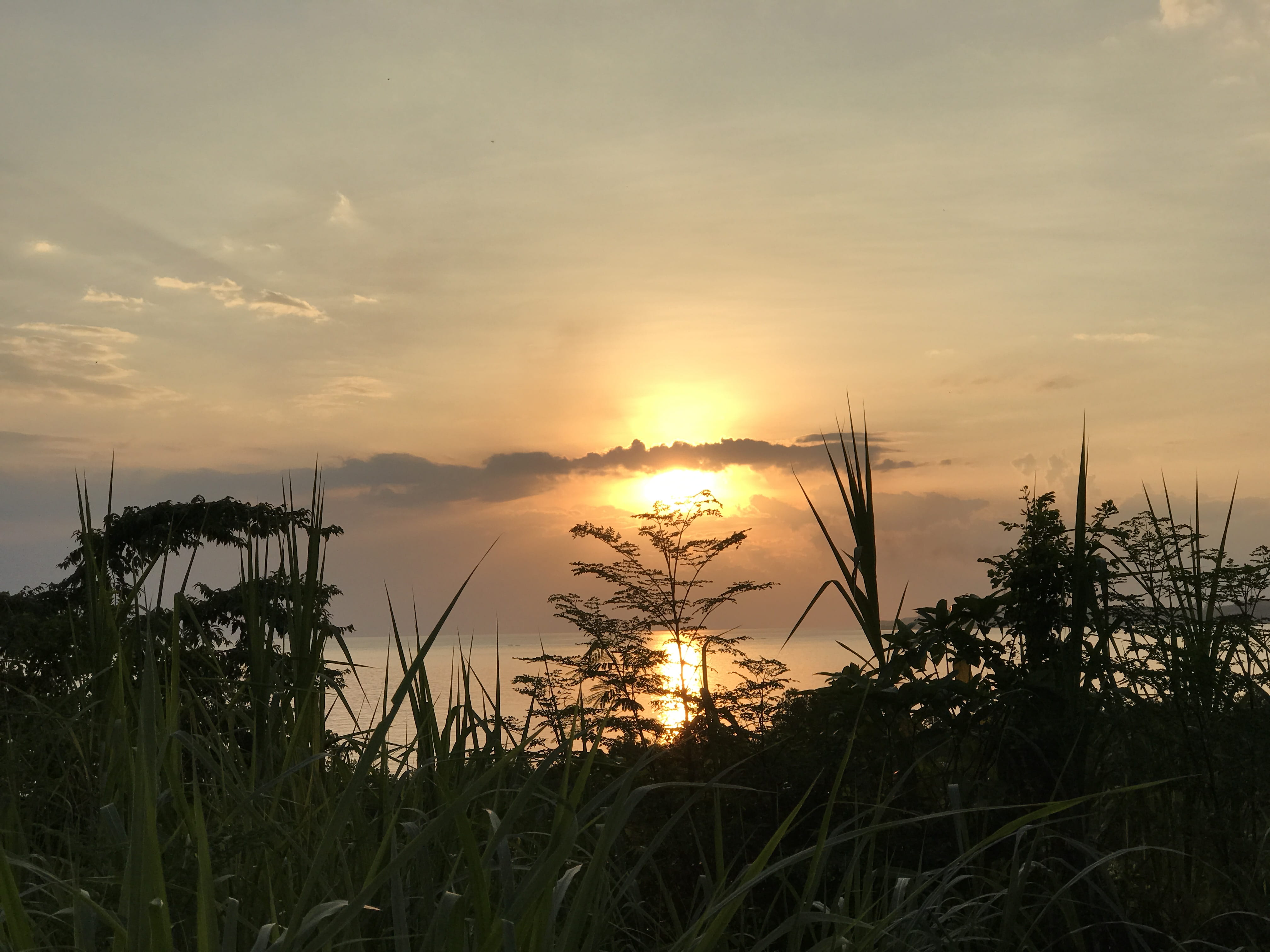 idyllic, scenics - nature, beauty in nature, grass, sunset, no people, outdoors, non-urban scene, tranquil scene, beautiful sunset, water, oslob, 4K, asia, HD Wallpaper