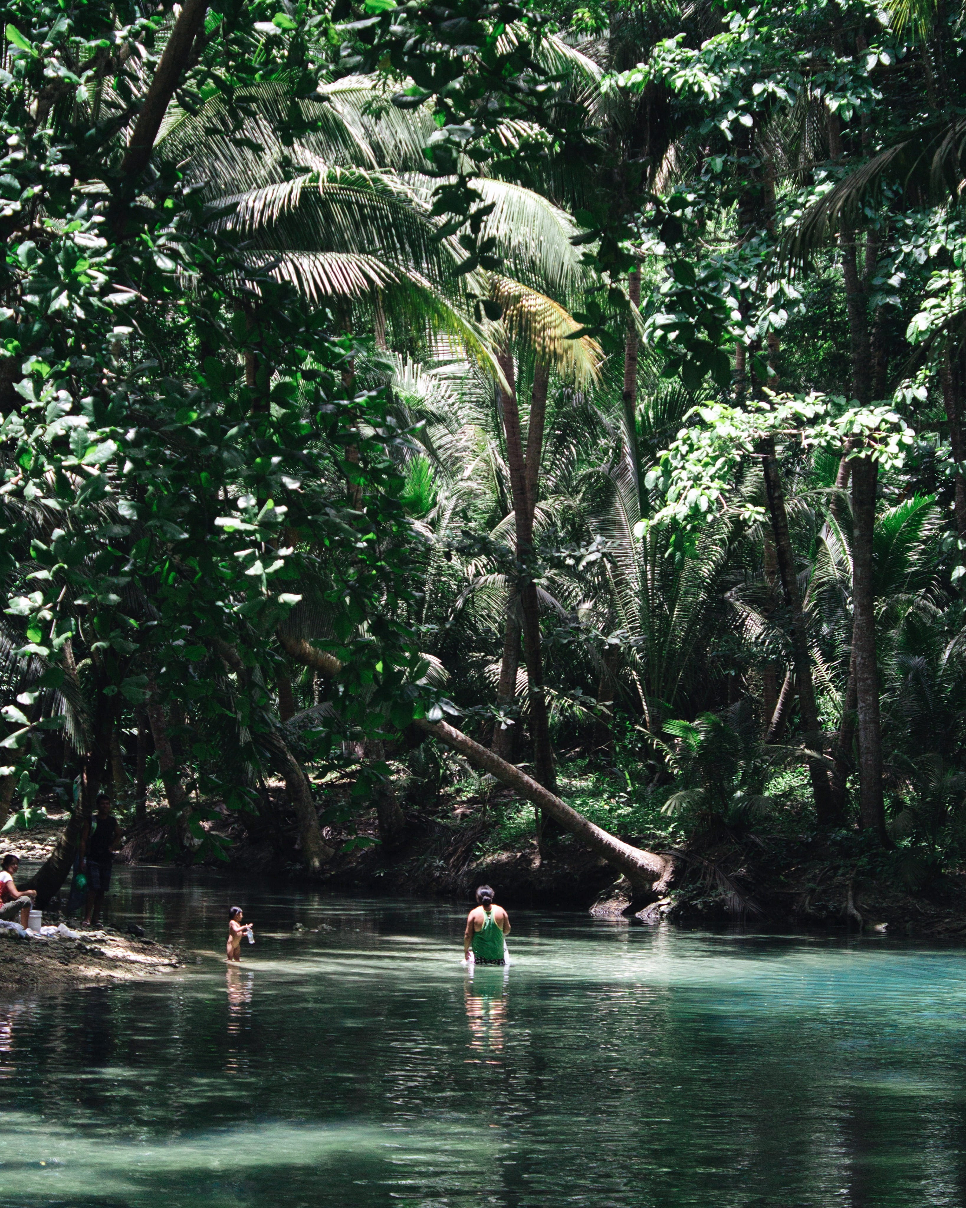 forest, tree, outdoors, philippines, nature, trip, beauty in nature, people, vacations, plant, leisure activity, swimming pool, holiday, badian, growth, Phone HD Wallpaper