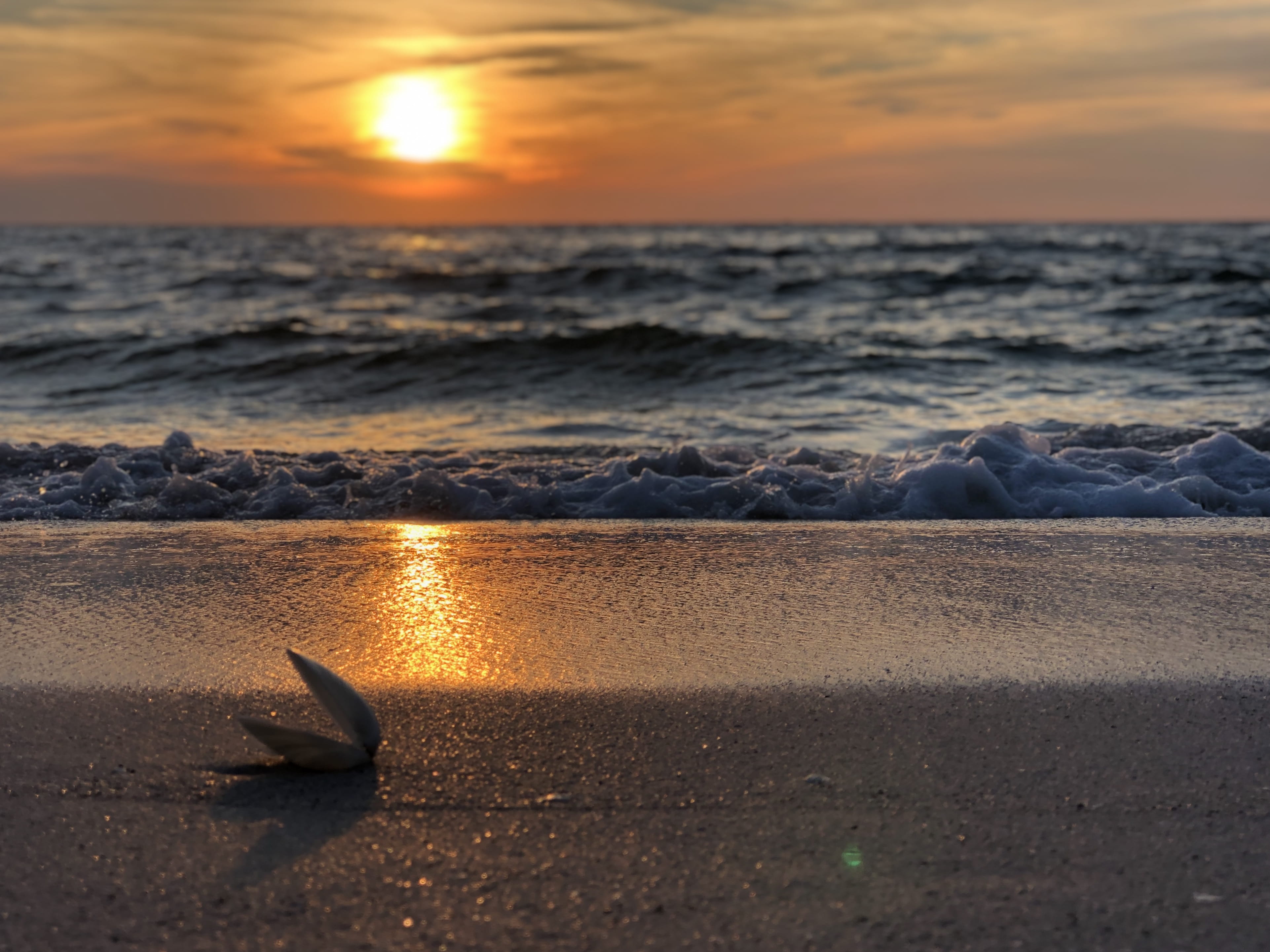 ocean, cloud - sky, water, beach, sky, sunset, dawn, tranquil scene, photo, orange color, sunlight, shore, golden hour, beauty in nature, hour, seascape, HD Wallpaper