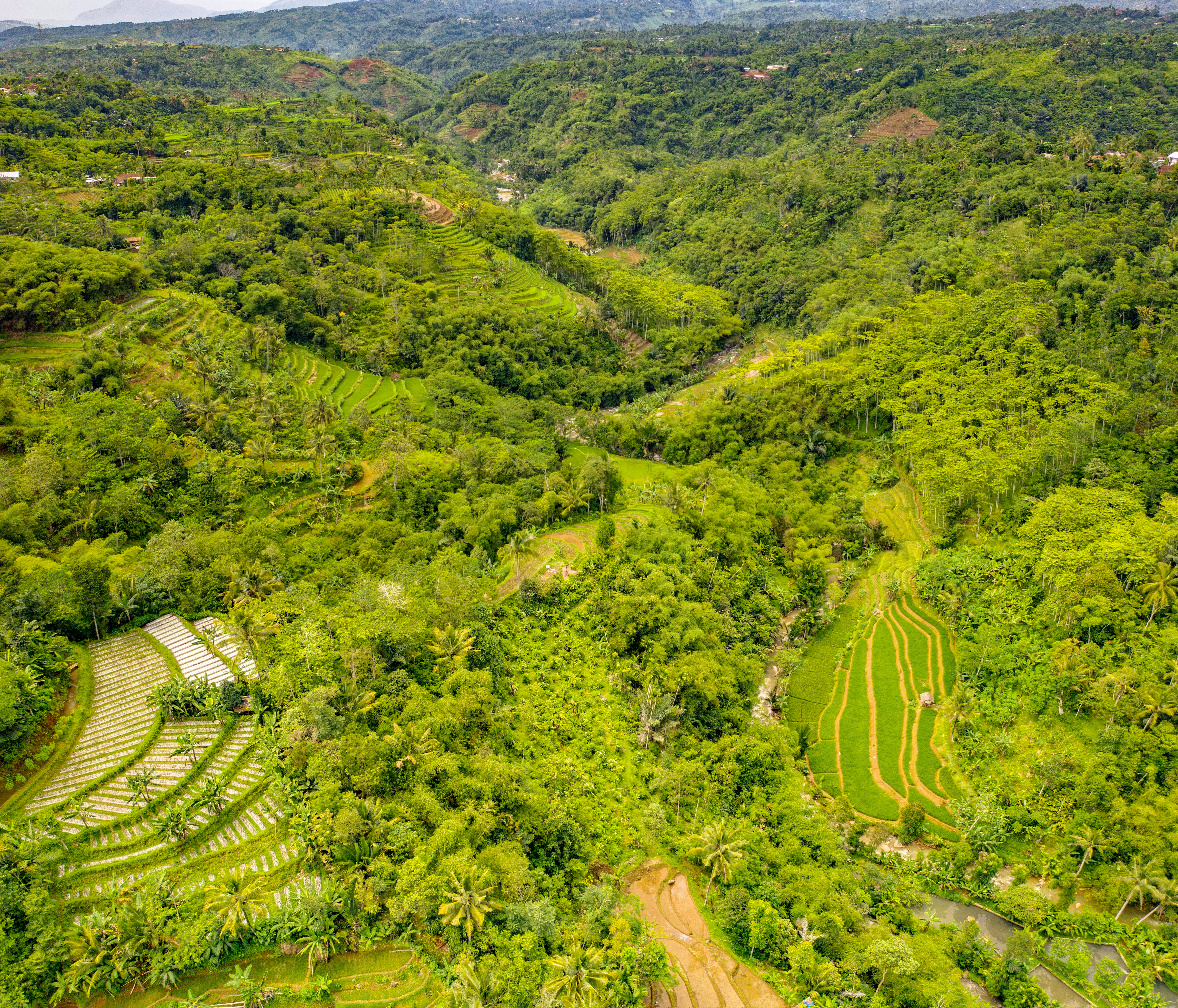 landscape, scenics - nature, environment, field, foliage, land, tranquility, scenic, drone view, rolling landscape, day, beauty in nature, HD Wallpaper