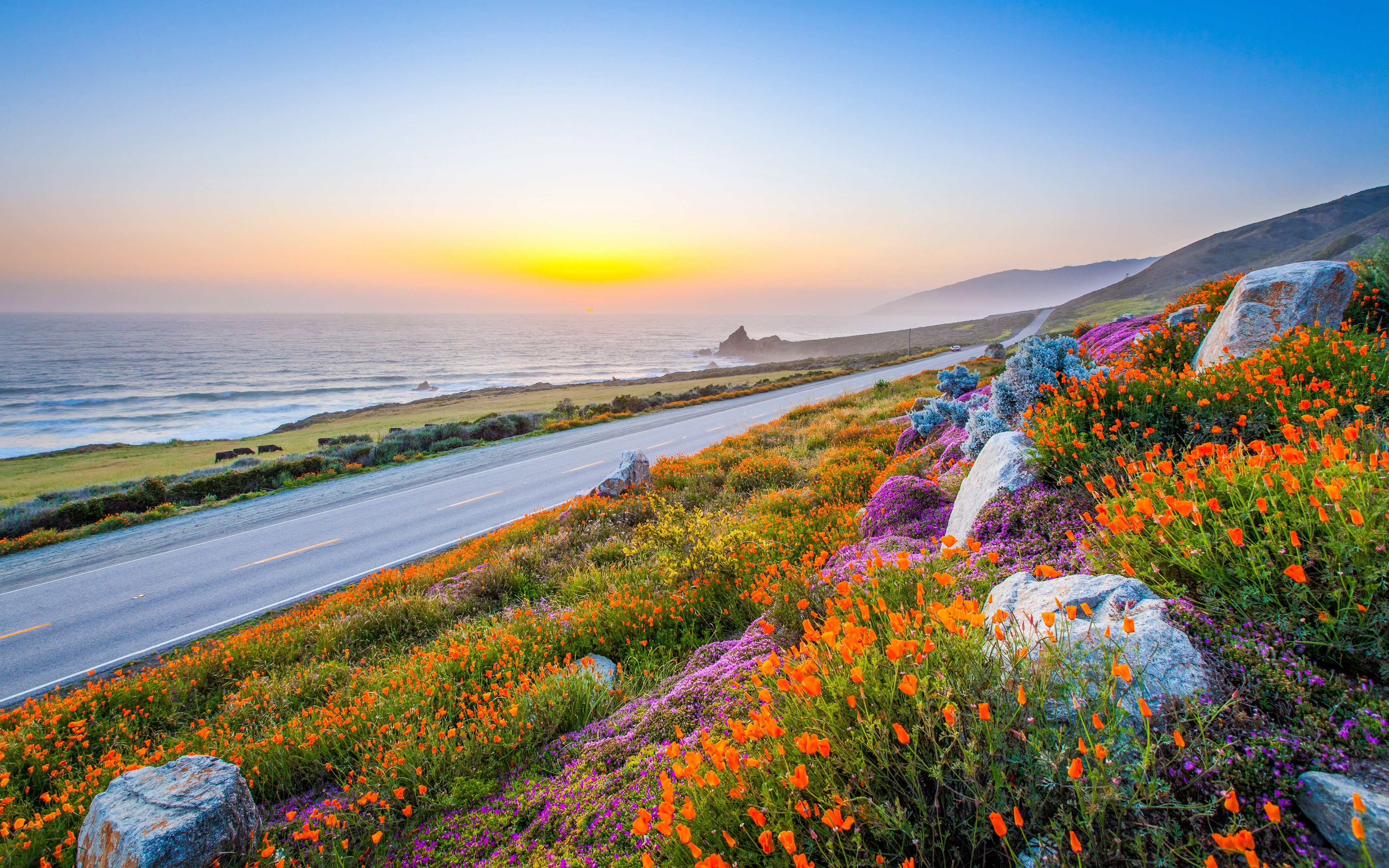 morning, land, tranquility, flowering plant, charming, road, landscape, purple, 4K, twilight, multi colored, mountain, coastal, orange, water, environment, HD Wallpaper