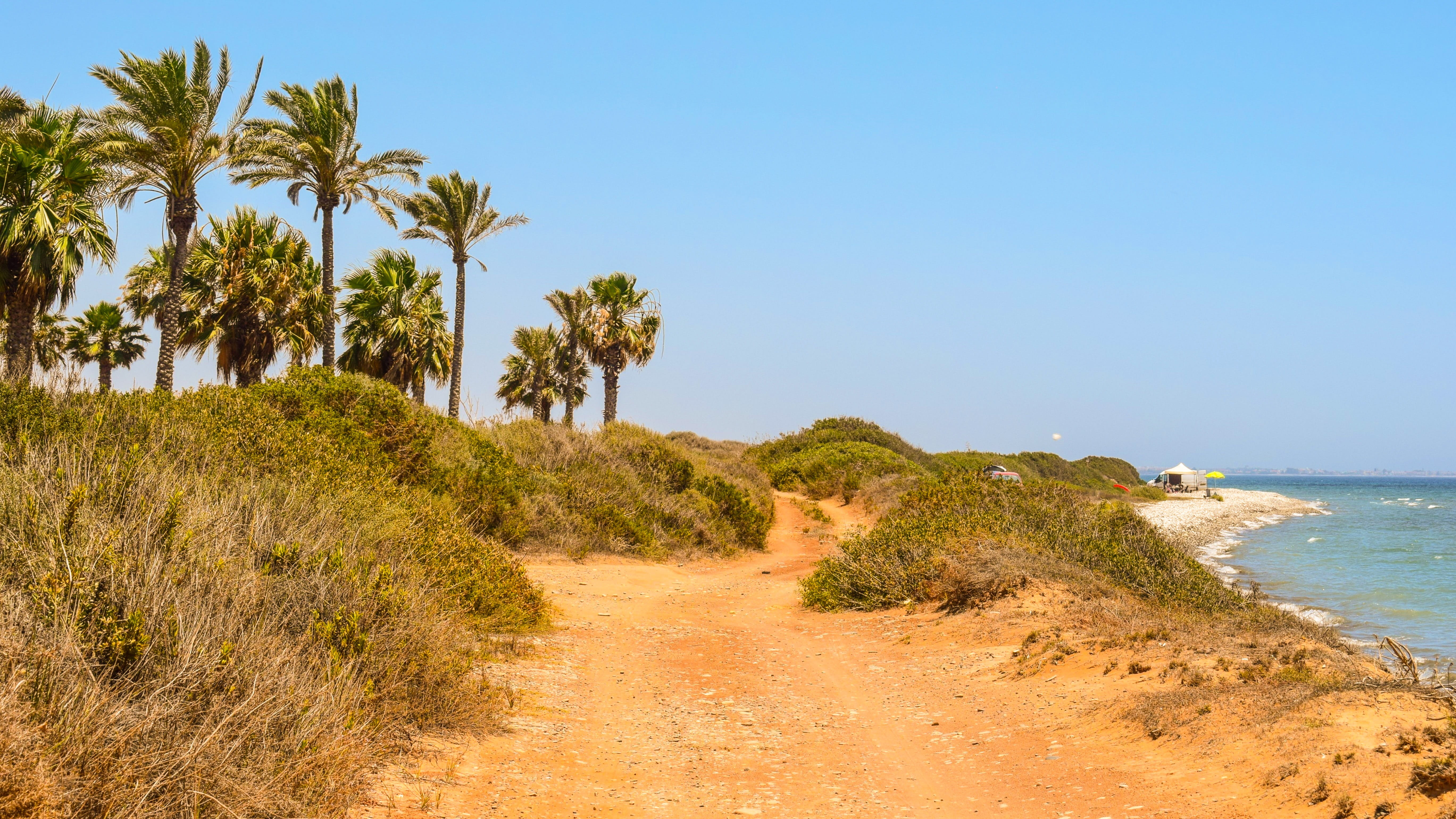 sea, tropical climate, sand, sky, no people, clear sky, Palm Trees, palm tree, countryside, coastal, scenics, island, Landscape, tranquility, water, day, HD Wallpaper