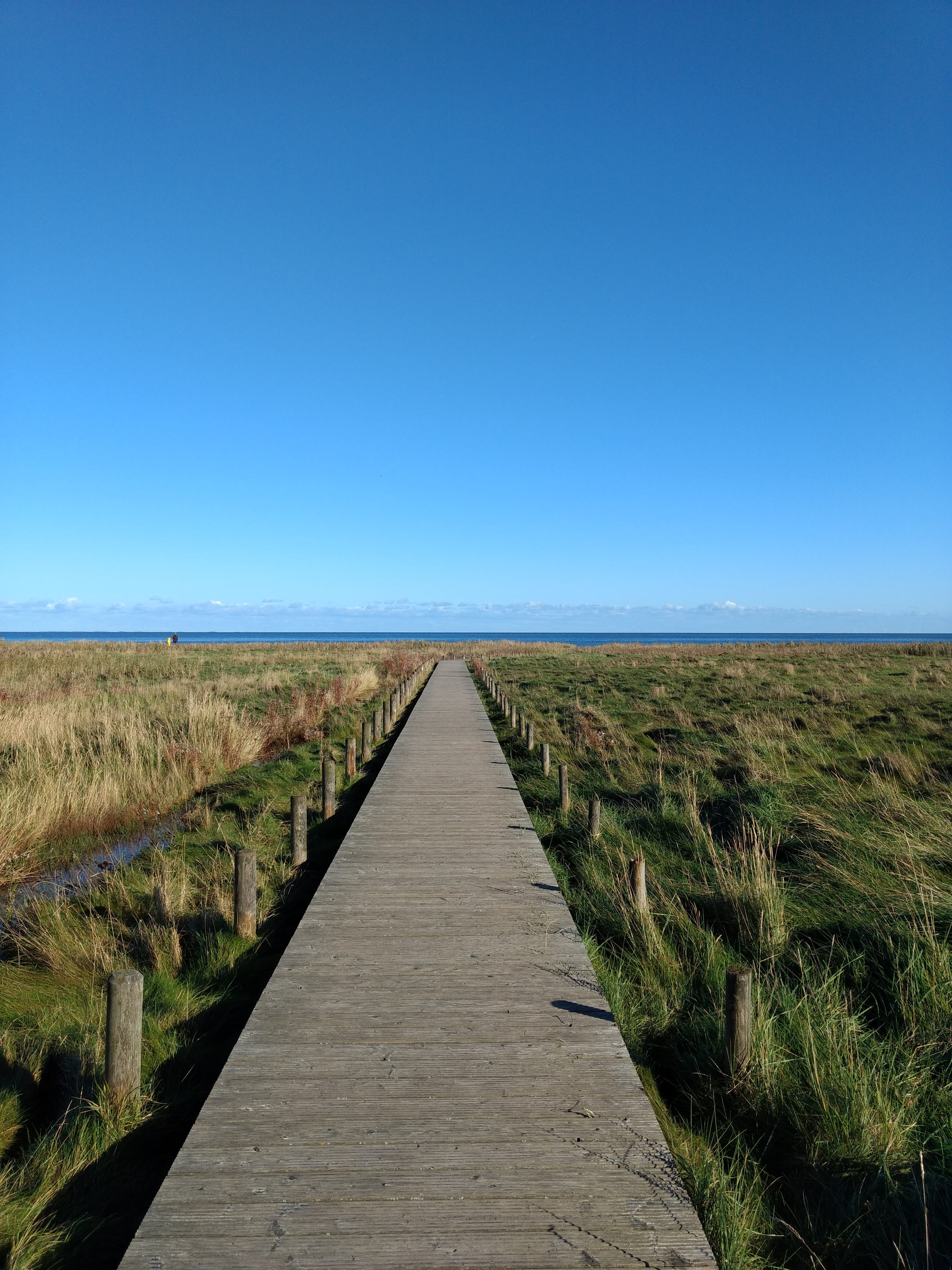 horizon over water, environment, sky, infinity, 4K, nature, water, grass, bridge, outdoors, beach, ocean, long, clear sky, natural, the way forward, blue, Phone HD Wallpaper