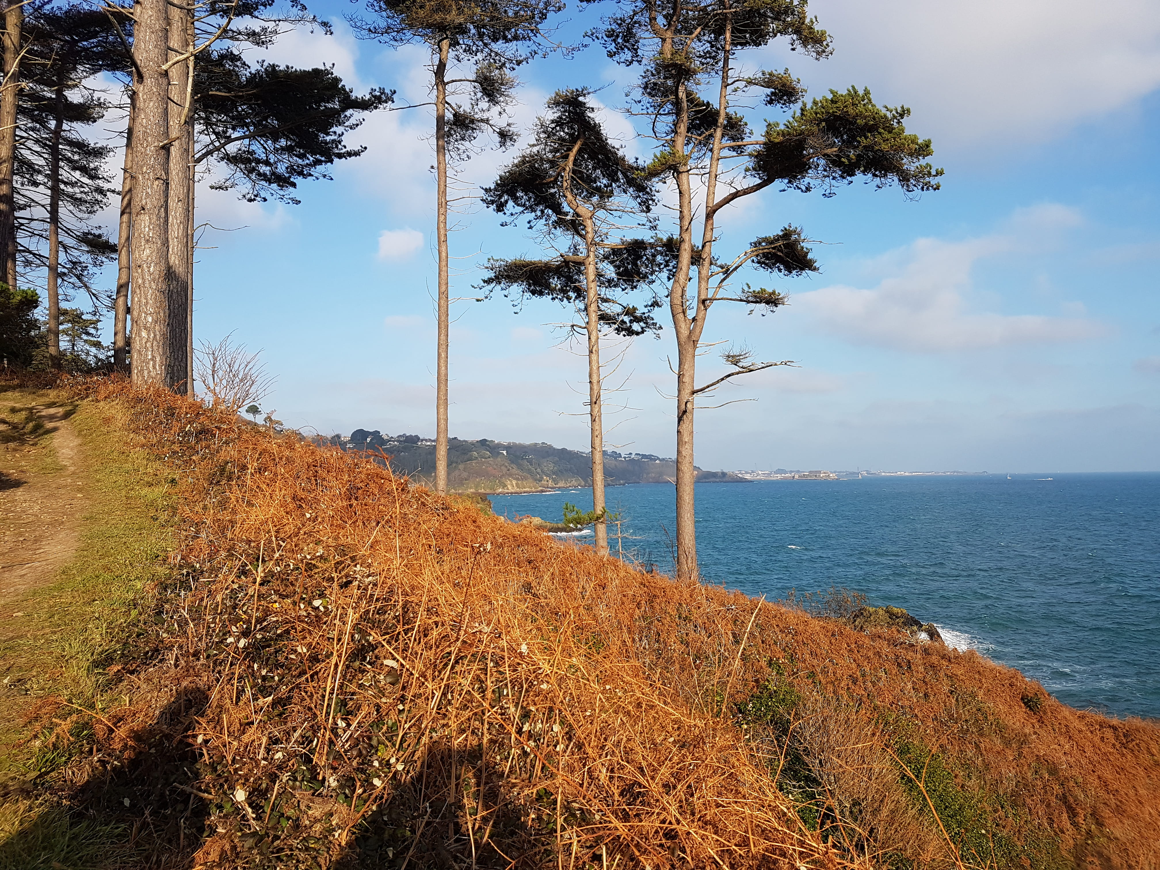 scenics - nature, beach, land, horizon, sea, tranquil scene, non-urban scene, east coast guernsey, horizon over water, plant, outdoors, 4K, guernsey, nature, HD Wallpaper